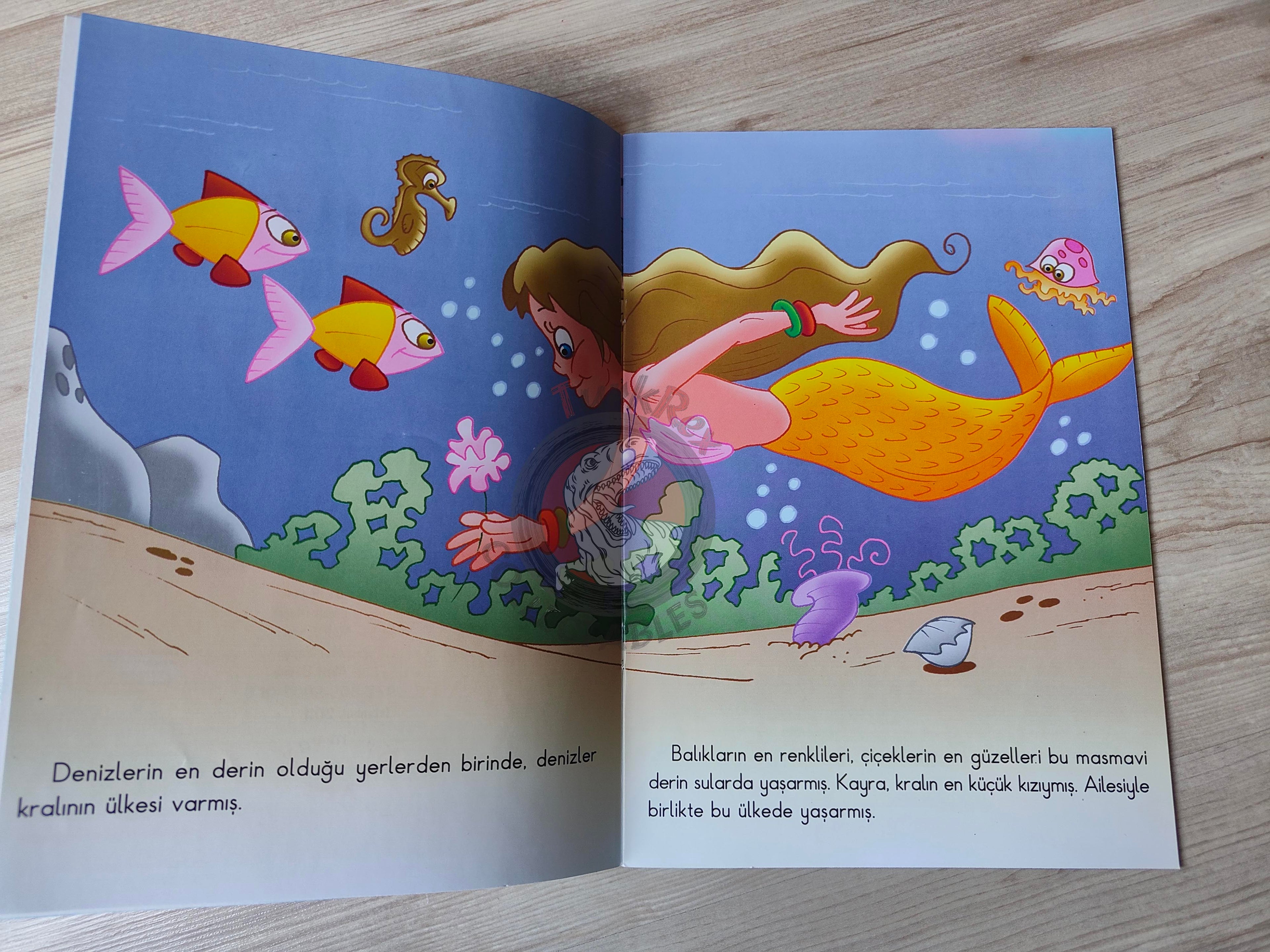 Hans Christian Andersen – The Little Mermaid 2011 Turkish Book Turkey Illustrated