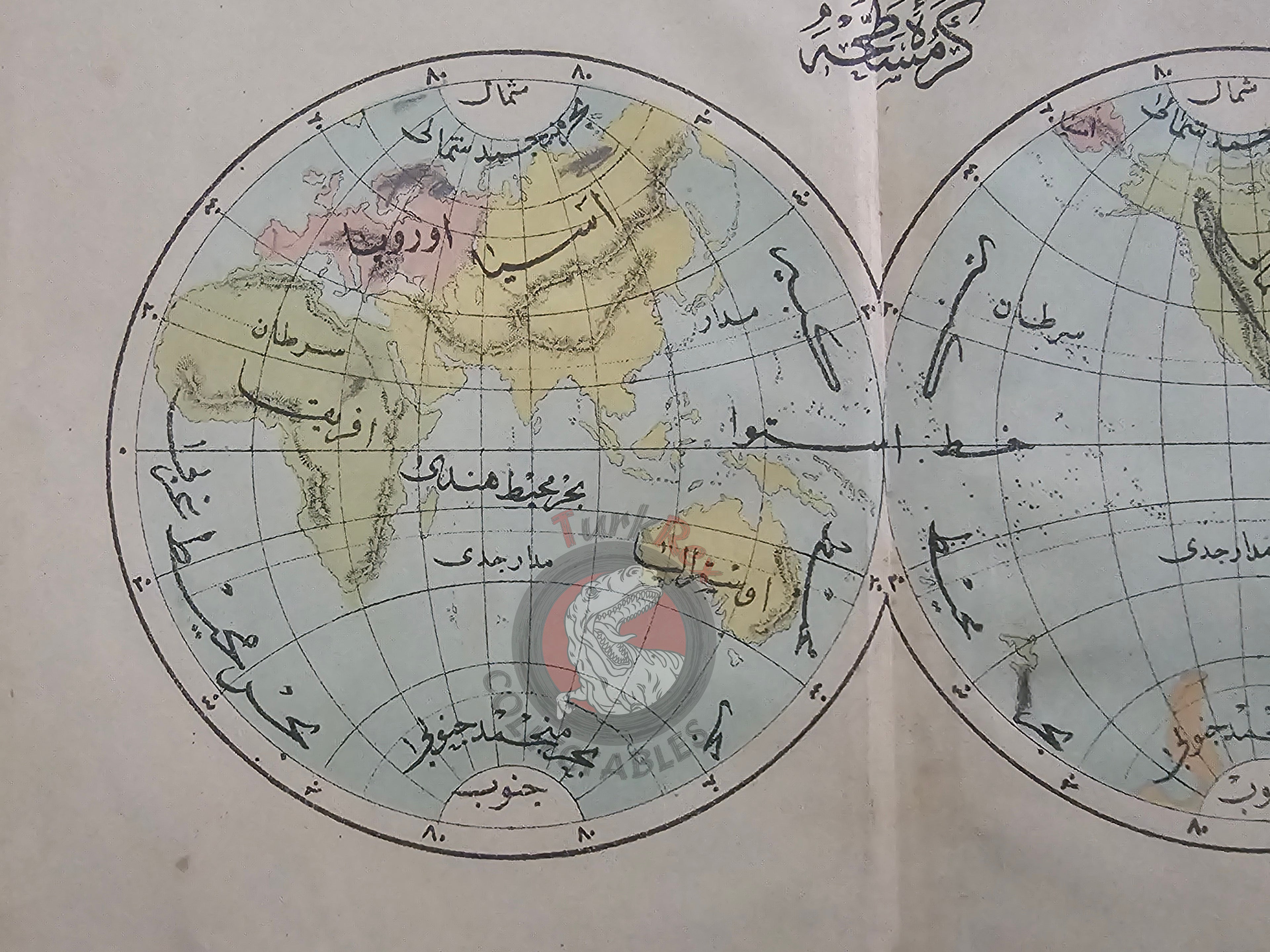 Ottoman Map of the World Hemispheres 1876 Ottoman Empire Continents Asia Europe