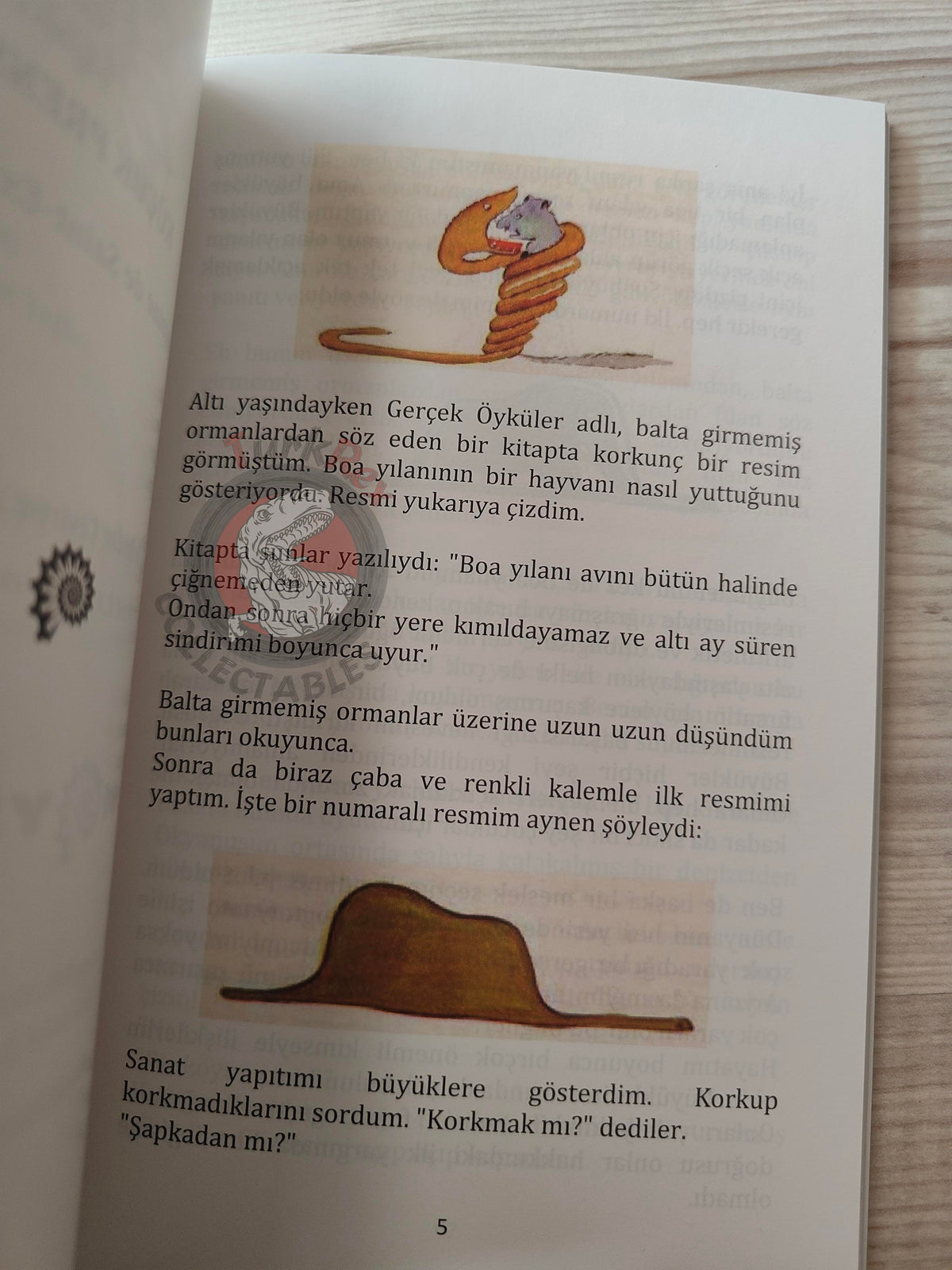 Antoine de Saint-Exupéry – Le Petit Prince 2015 Turkish Book Turkey Illustrated Little 5