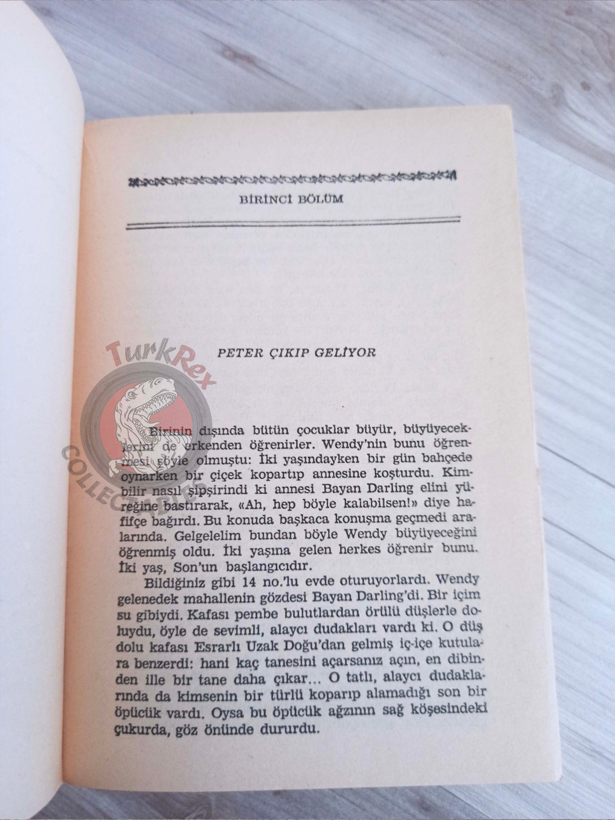 J. M. Barrie – Peter Pan 1985 Turkish Book Turkey Illustrated Arthur Rackham