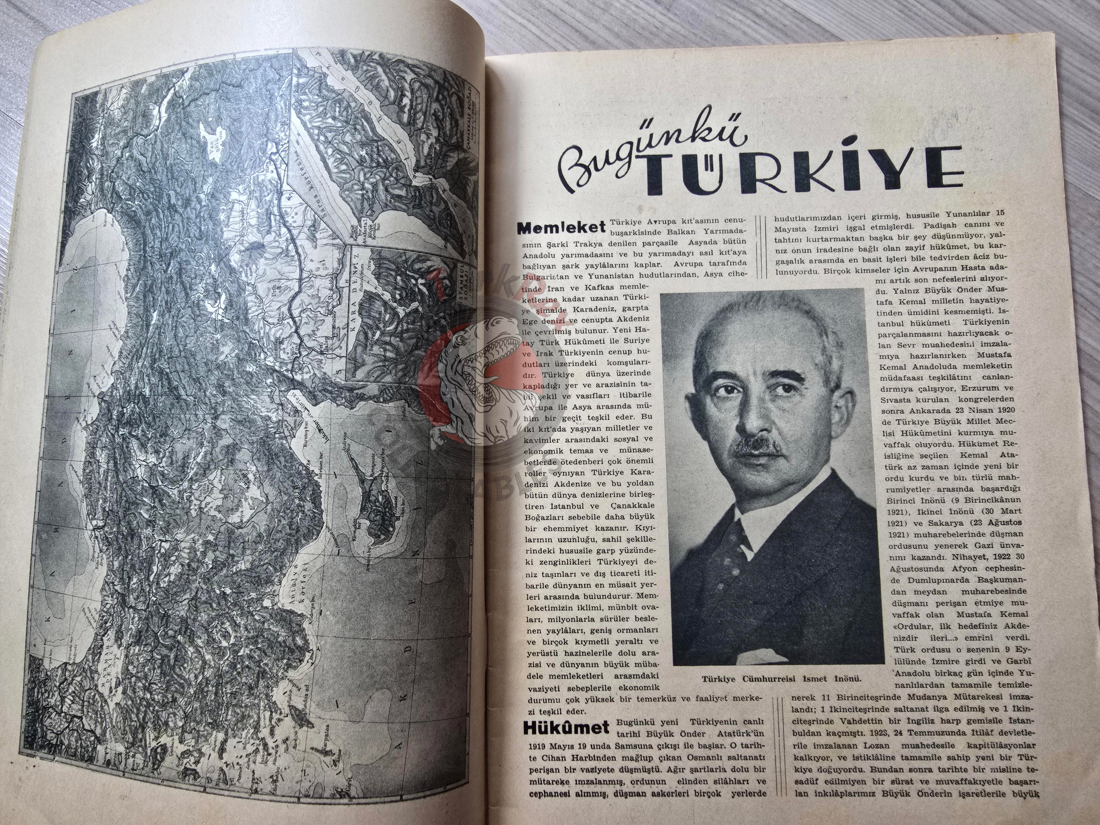 Faik Sabri – Turkey Today 1938 Turkish Book Turkey Illustrated