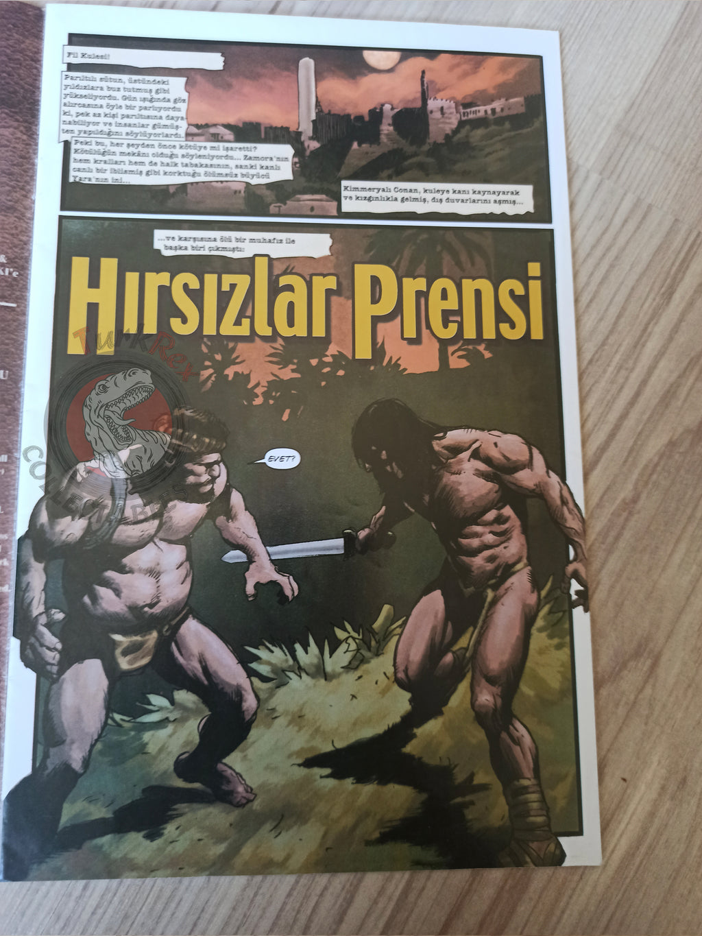 Conan the Legend #21 Turkish Comic Turkey Dark Horse Comics