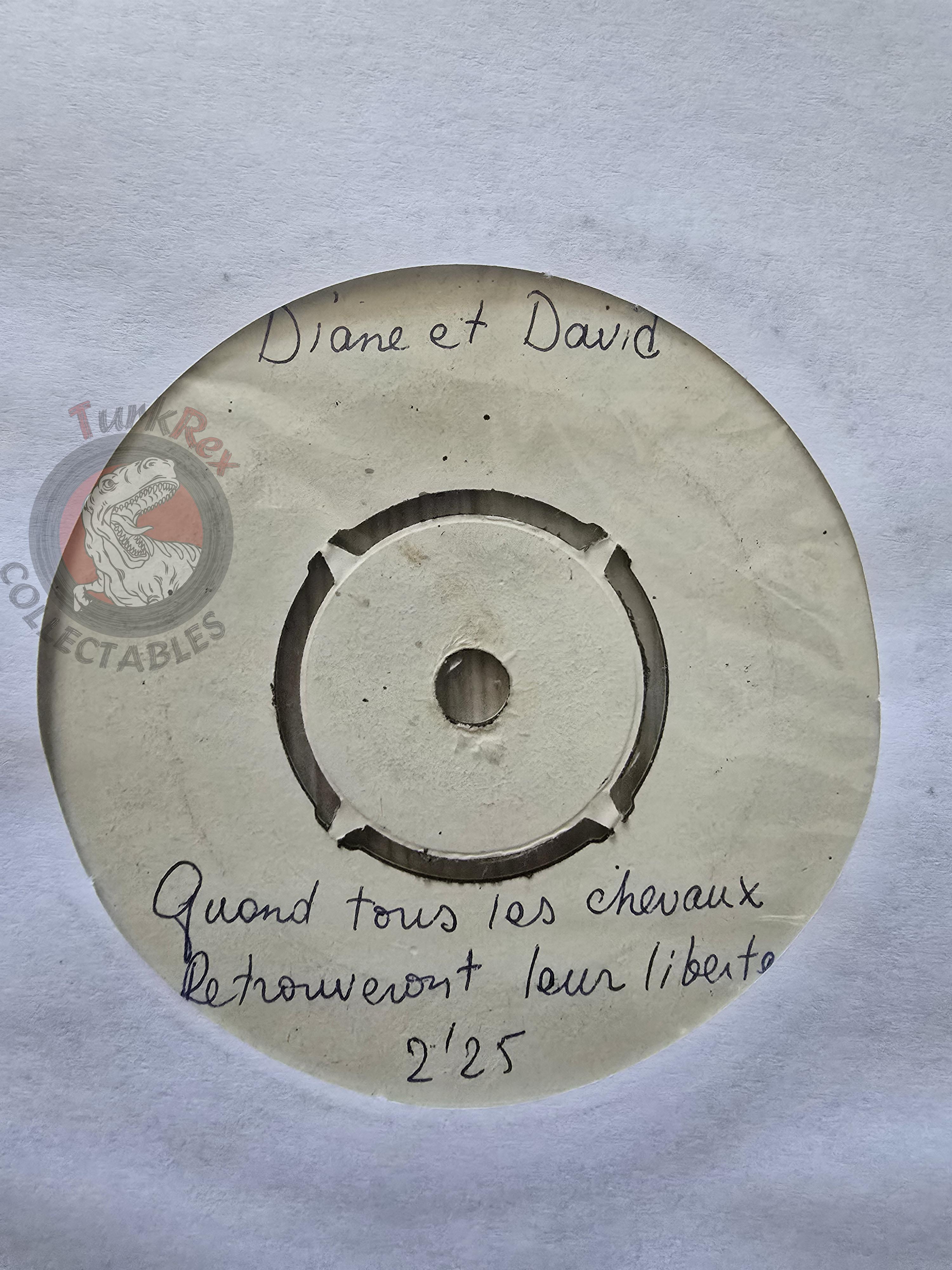 Diane Et David – Sur Les Quais D'Istanbul 7" Test Turkish Pressing Vinyl Turkey Edition
