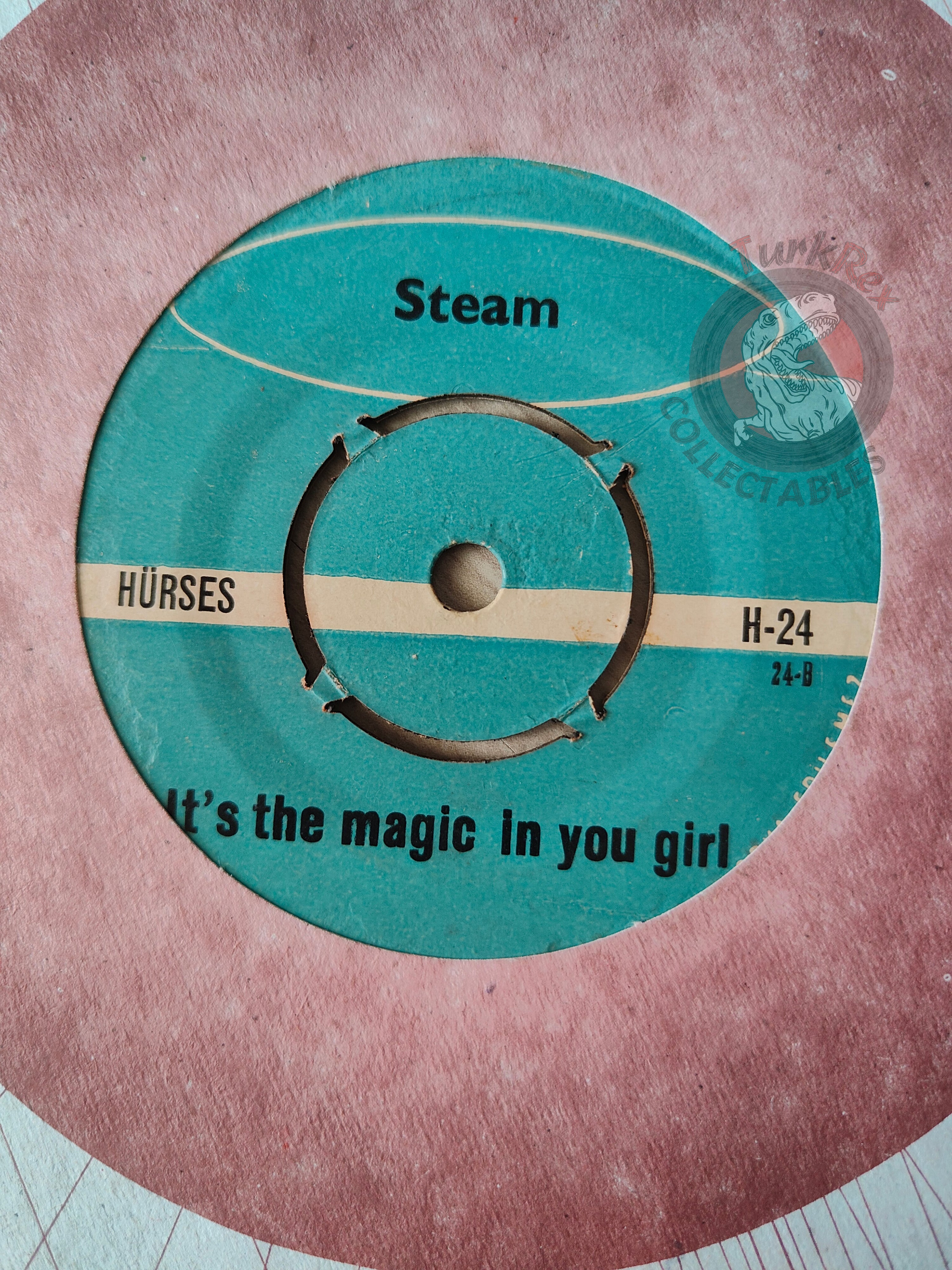 Steam – Na Na Hey Hey Kiss Him Goodbye 7" Turkish Pressing Vinyl Turkey Edition 2