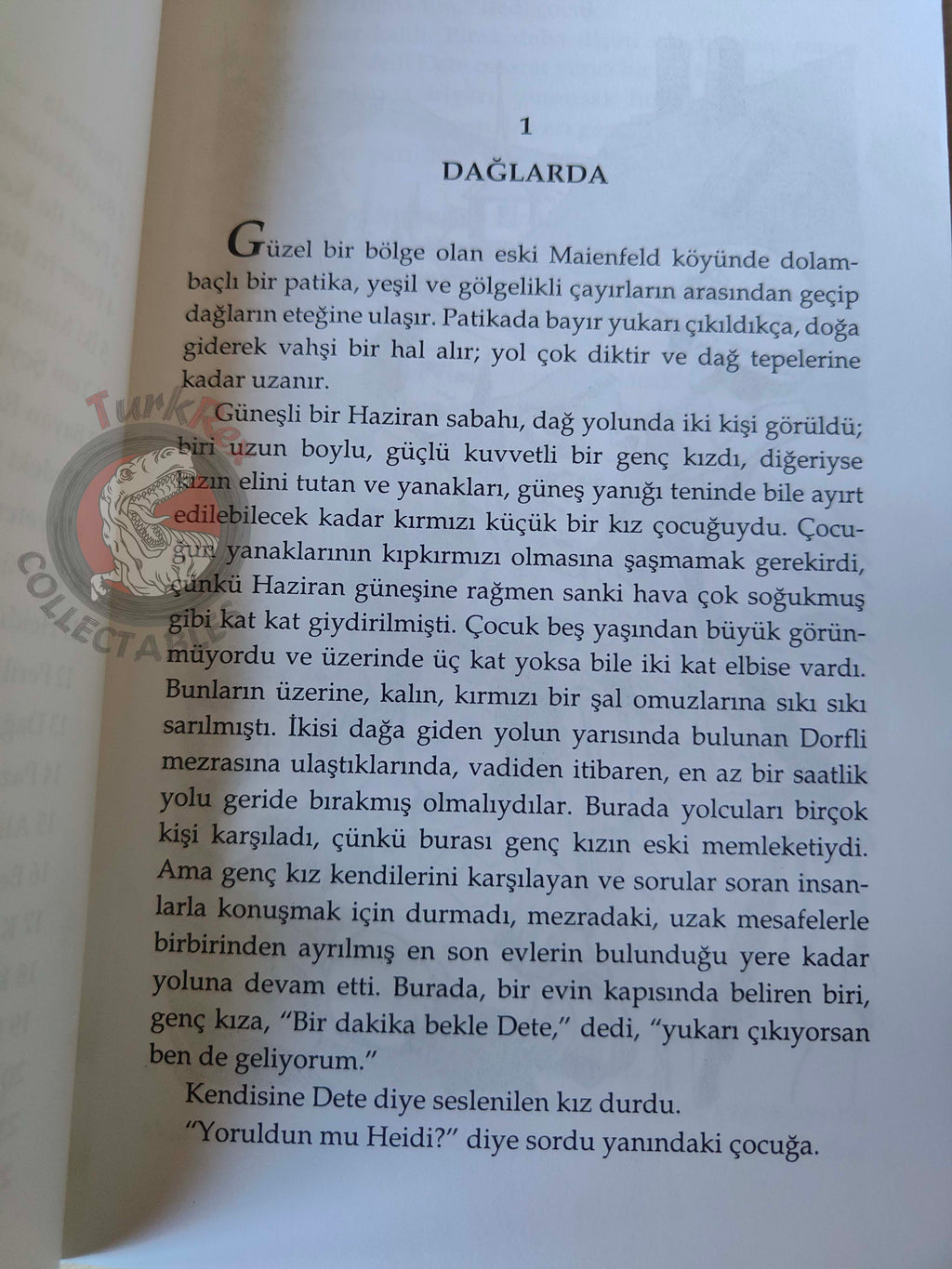 Johanna Spyri – Heidi 2002 Turkish Book Turkey Illustrated