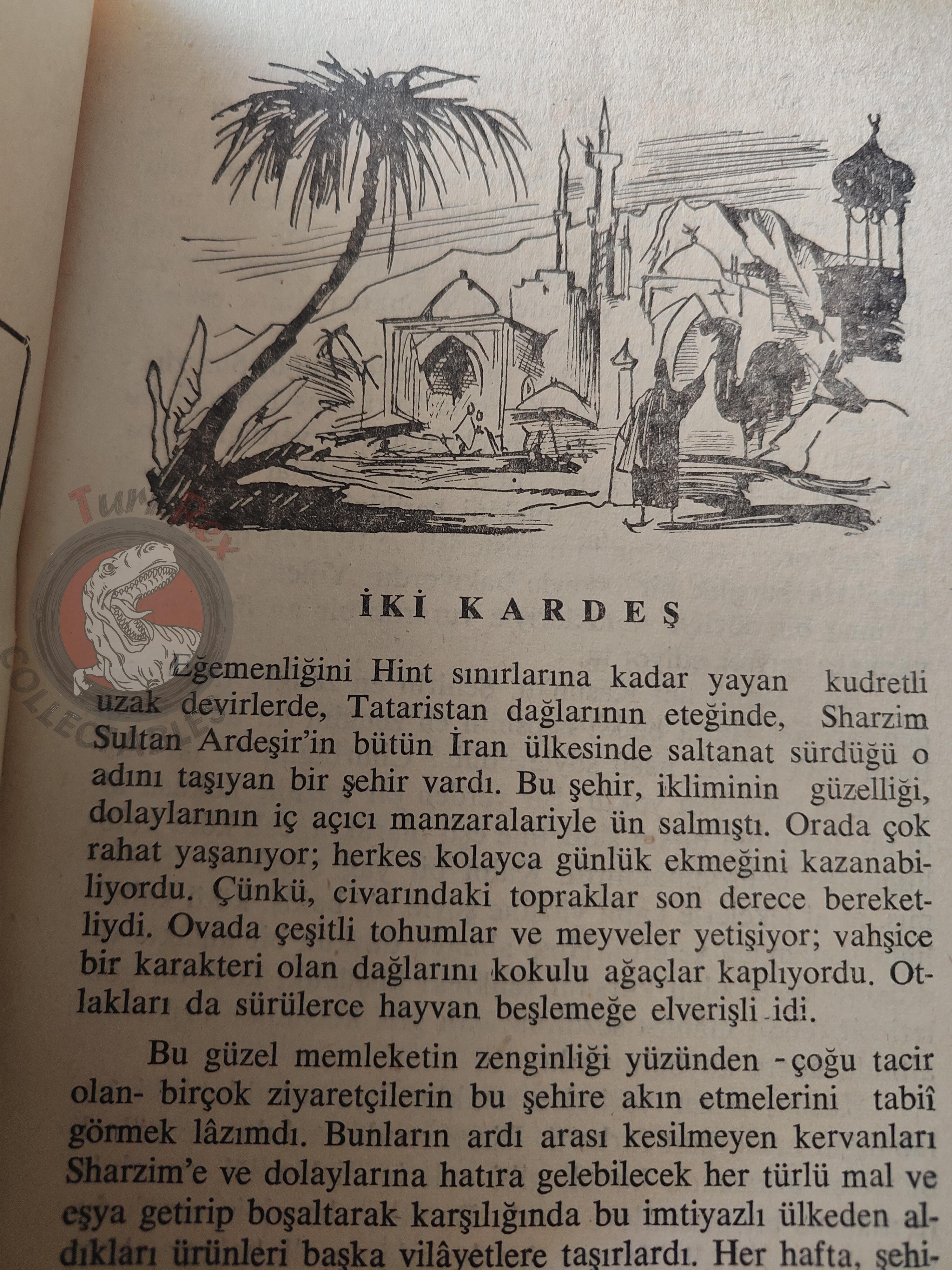 Ali Baba and the Forty Thieves 1967 Turkish Book Turkey 1001 Nights Illustrated
