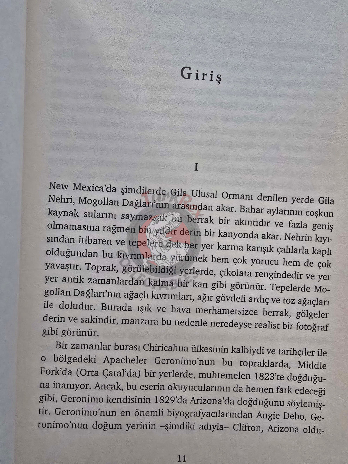 Geronimo – Geronimo: His Own Story 2001 1st Turkish Book Turkey