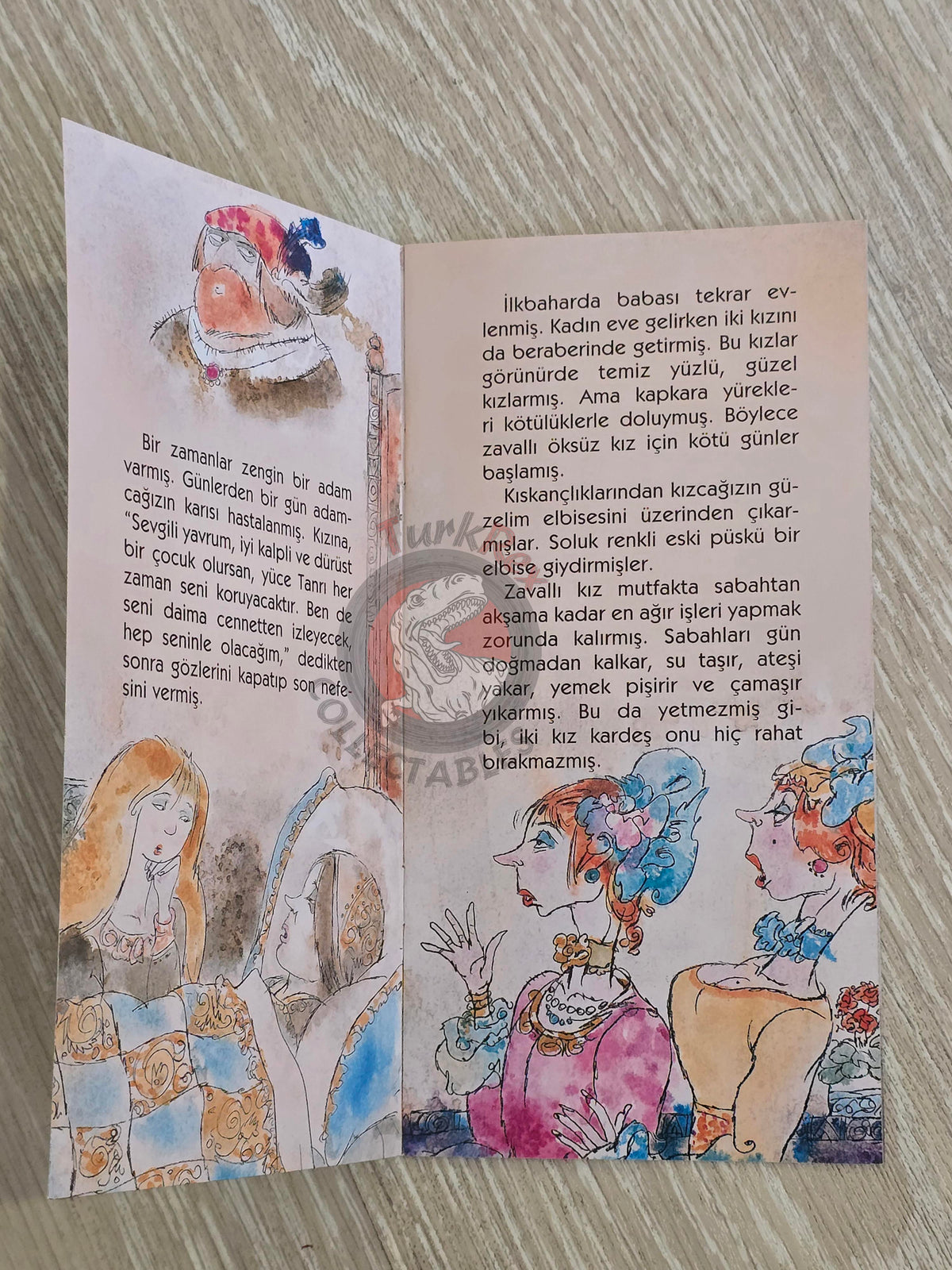 Grimm Brothers – Cinderella 2011 Turkish Book Turkey Illustrated 2