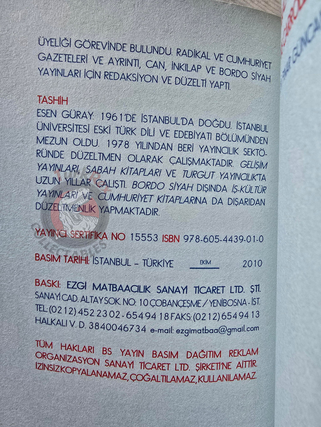 Lewis Carroll – Alice in Wonderland 2010 Turkish Book Turkey Illustrated 3