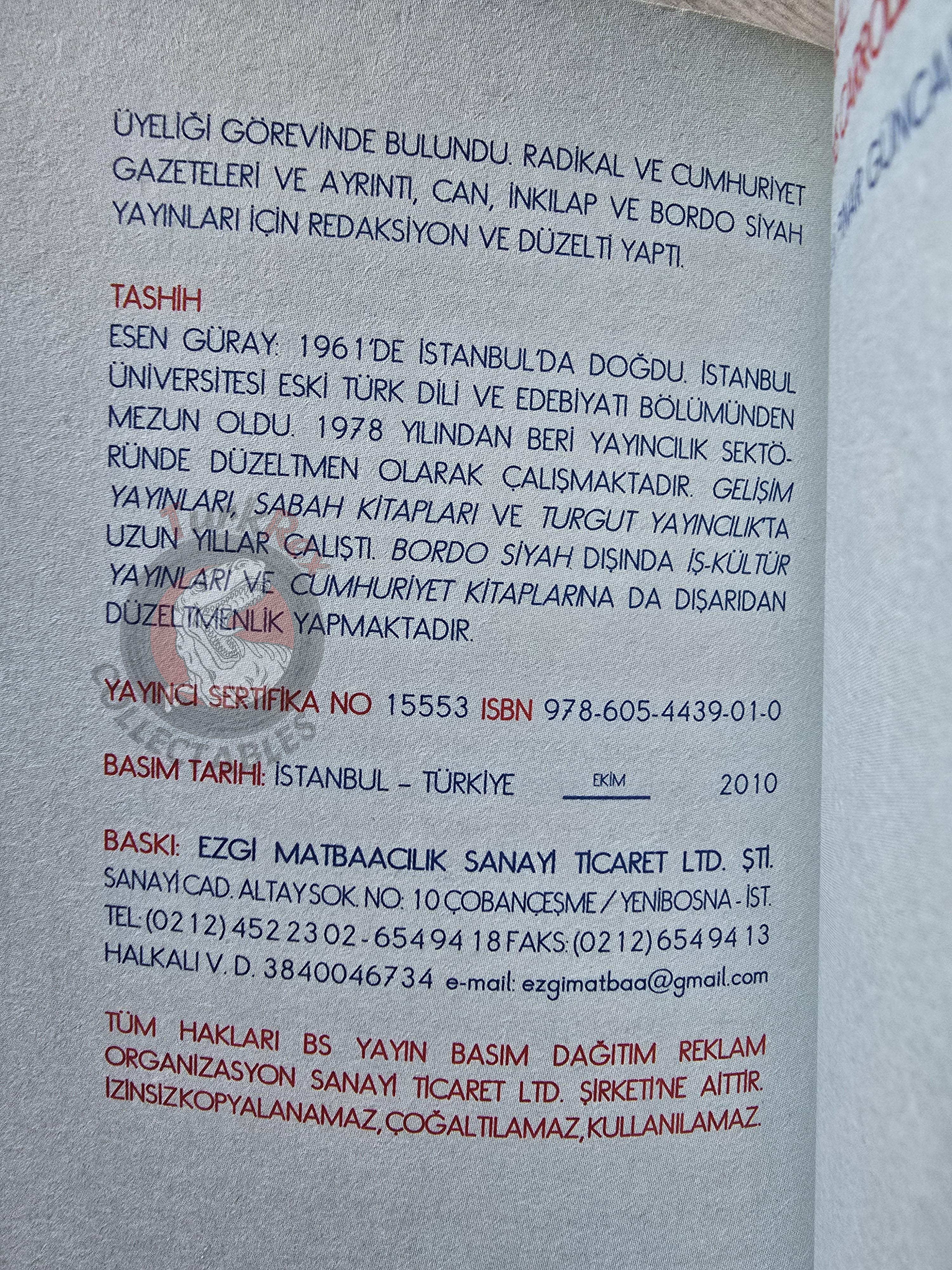 Lewis Carroll – Alice in Wonderland 2010 Turkish Book Turkey Illustrated 3