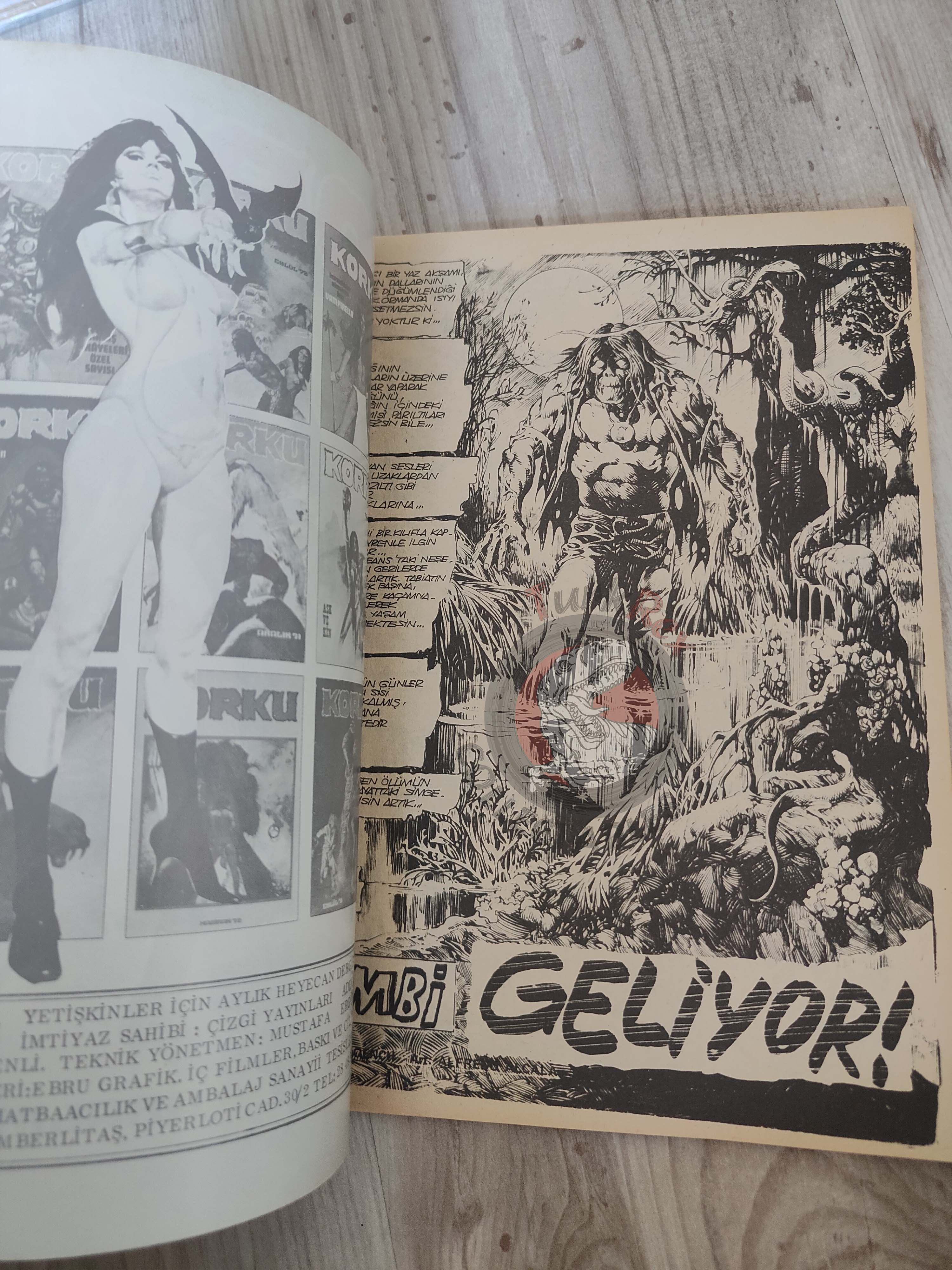 Korku December 1975 Turkish Comic Turkey Vampirella #42 Warren Creepy Eerie