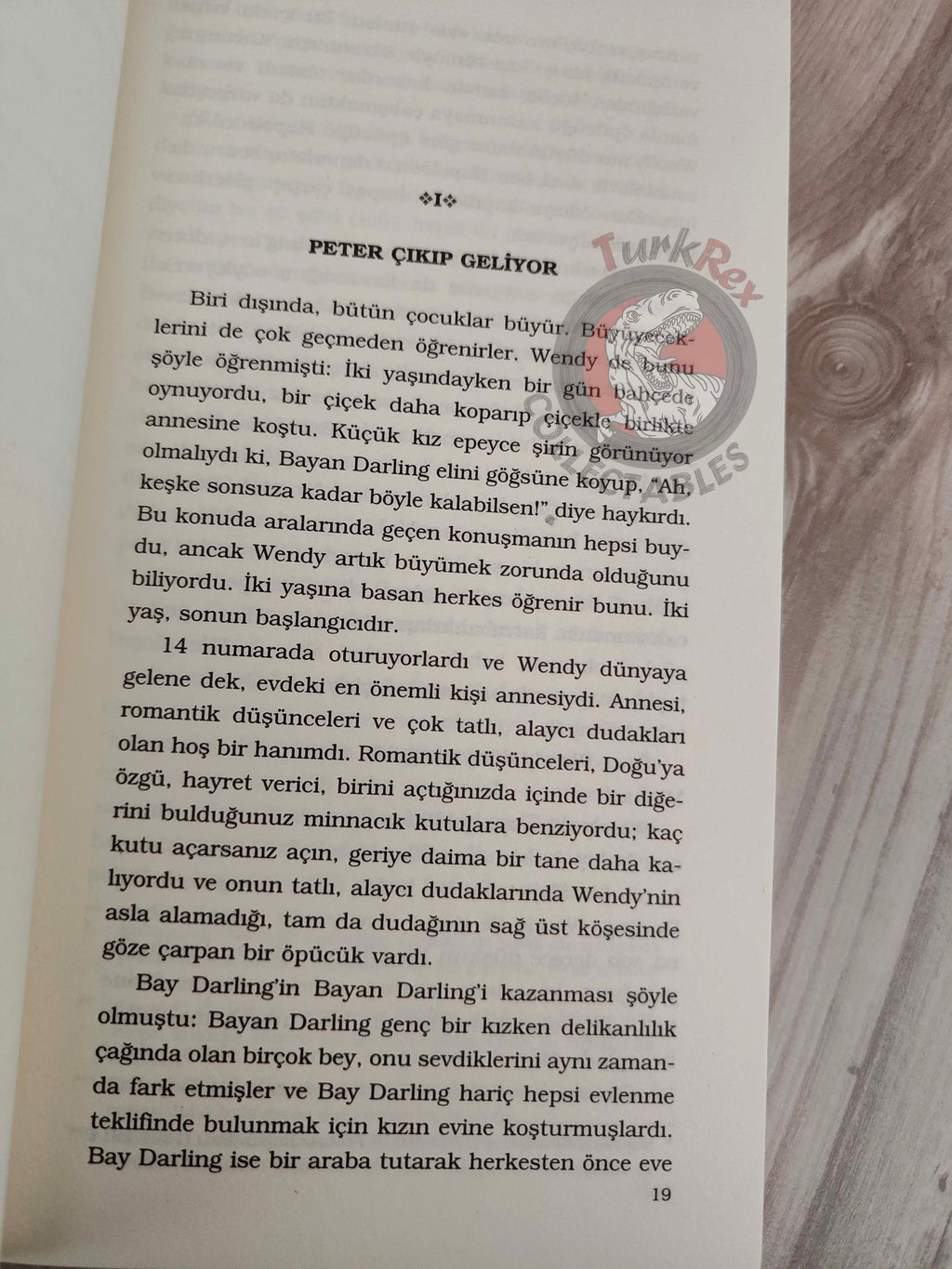 J. M. Barrie – Peter Pan 2012 Turkish Book Turkey Illustrated