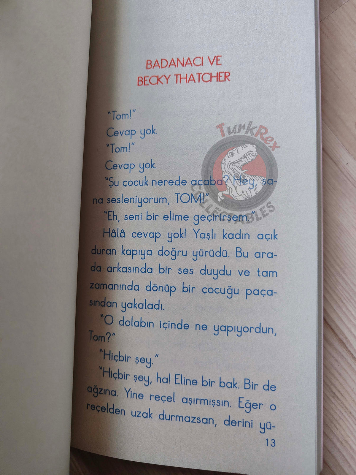 Mark Twain – Tom Sawyer 2010 Turkish Book Turkey Illustrated