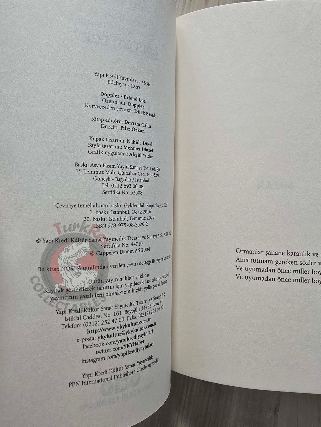 Erlend Loe – Doppler 2022 Turkish Book Turkey