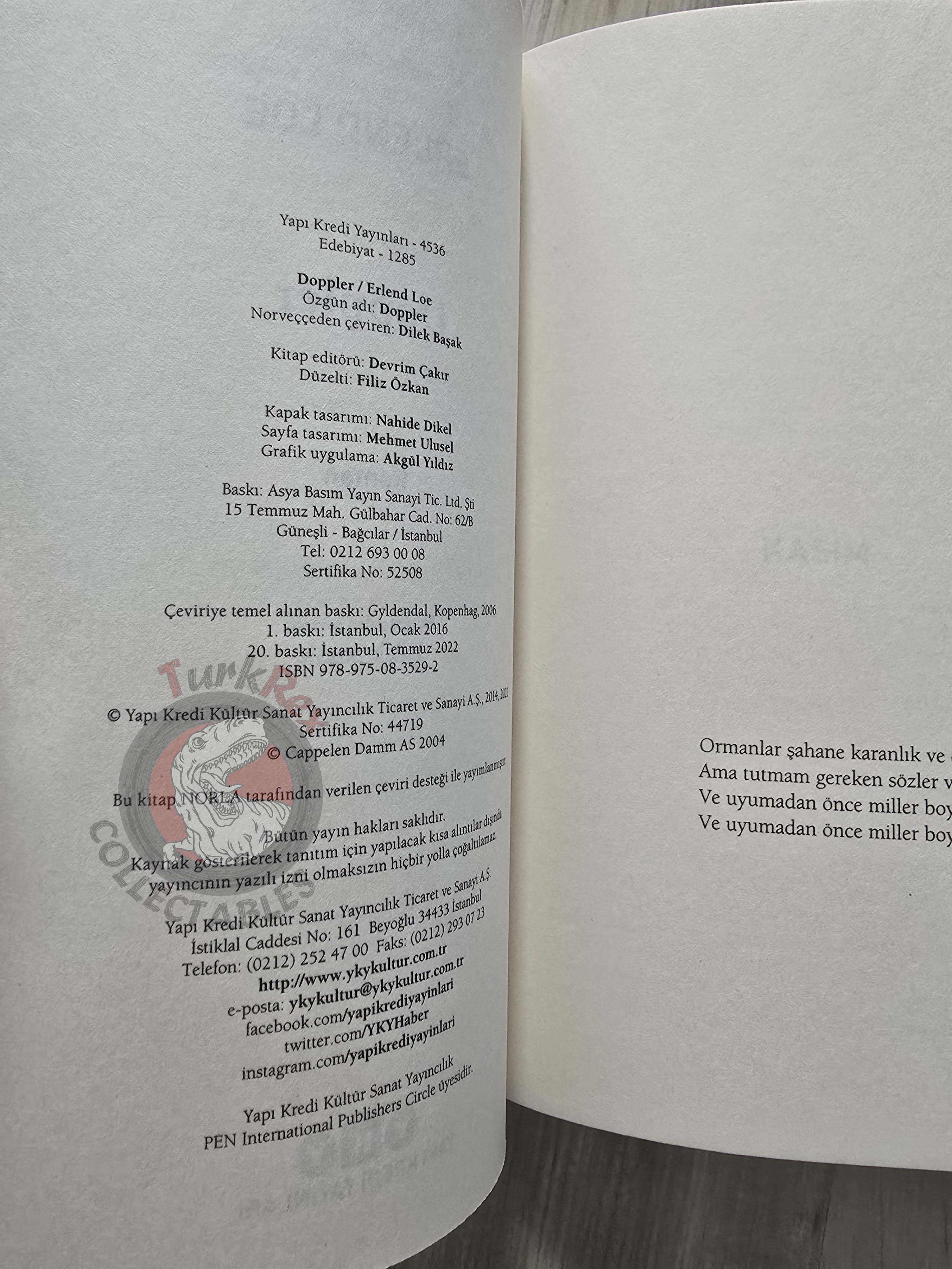Erlend Loe – Doppler 2022 Turkish Book Turkey