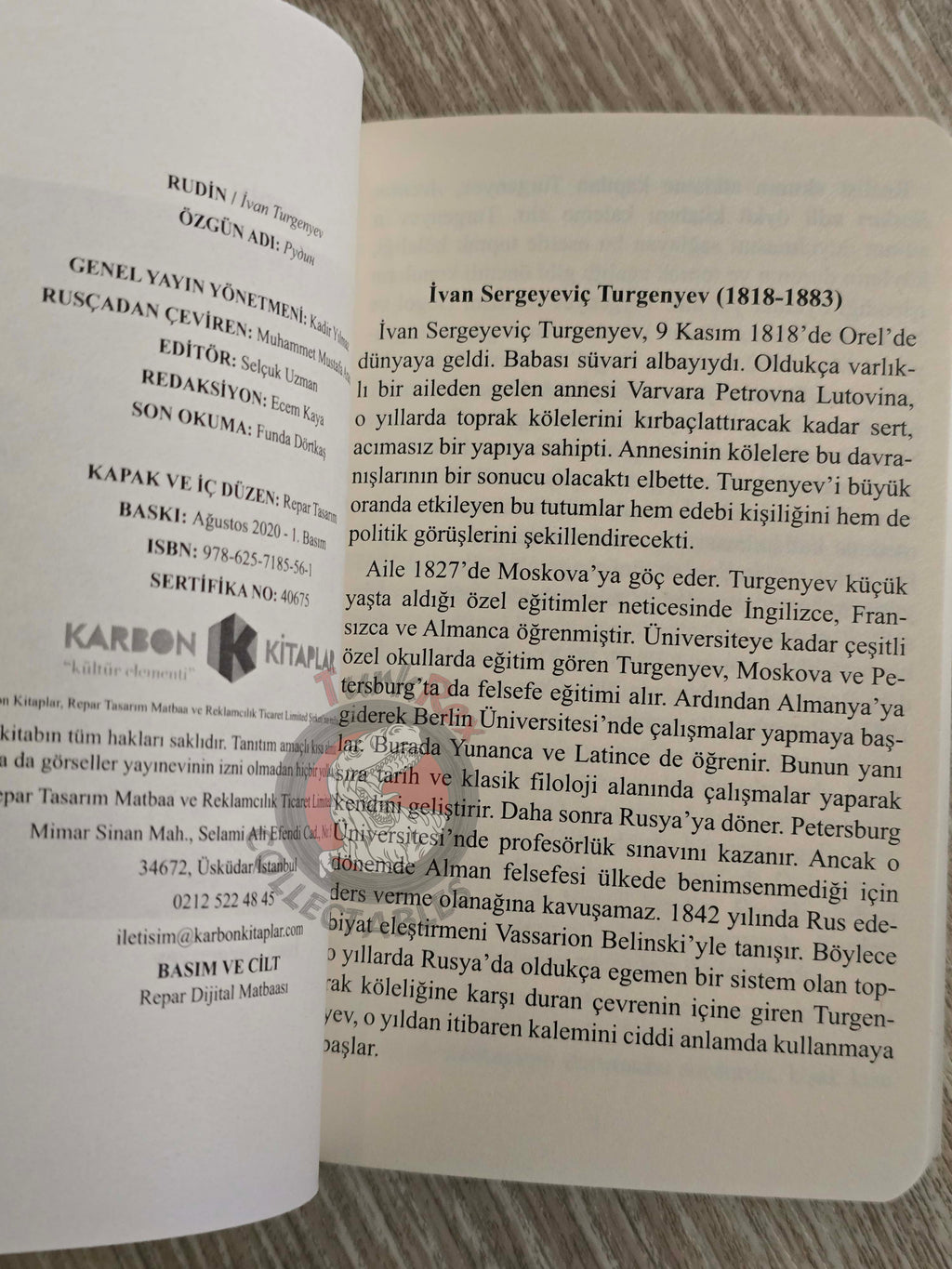 Ivan Turgenev – Rudin 2020 Turkish Book Turkey