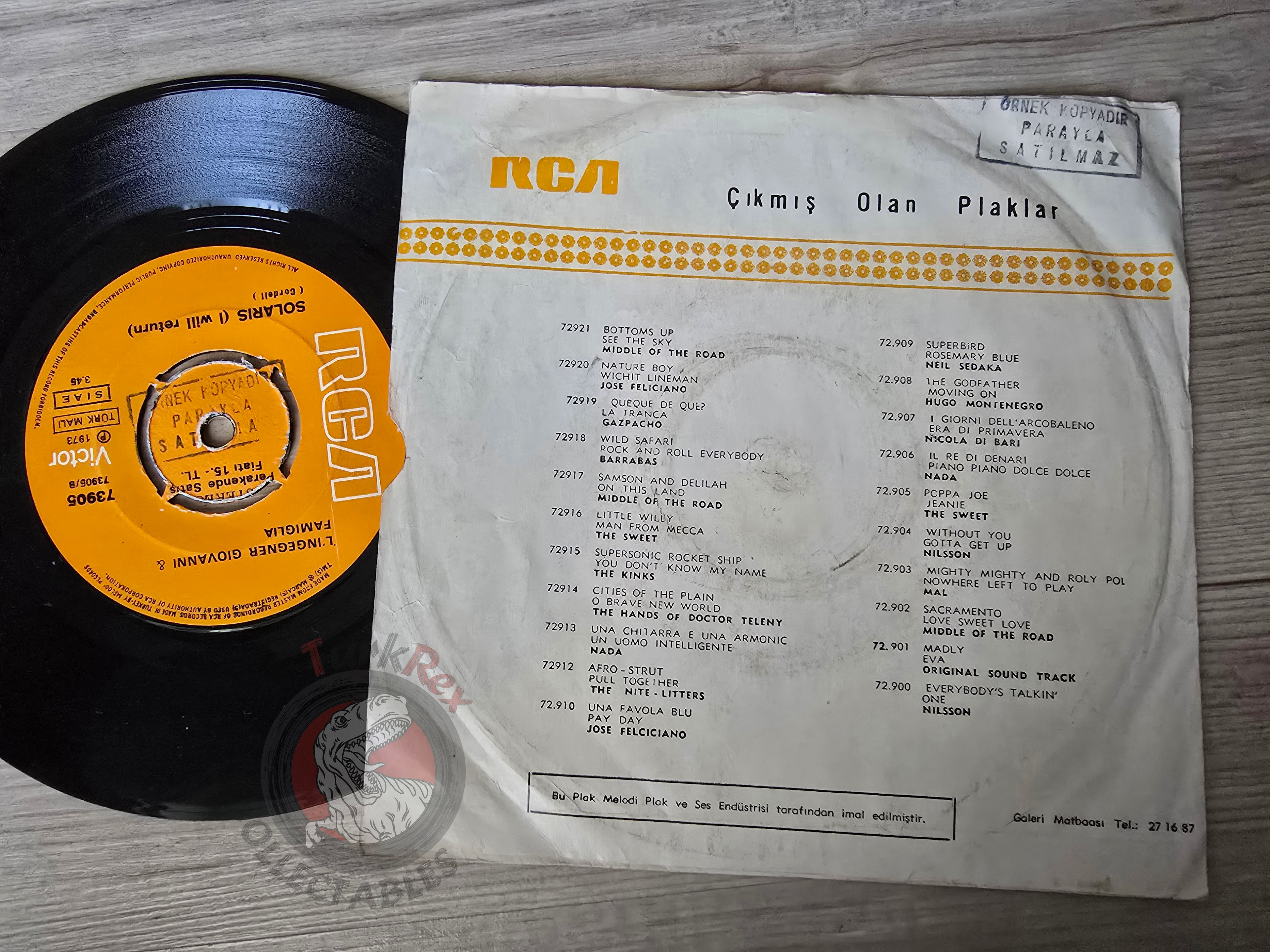 Engineer John & His Family – Telstar 7" Turkish Pressing Vinyl Turkey Edition Promo