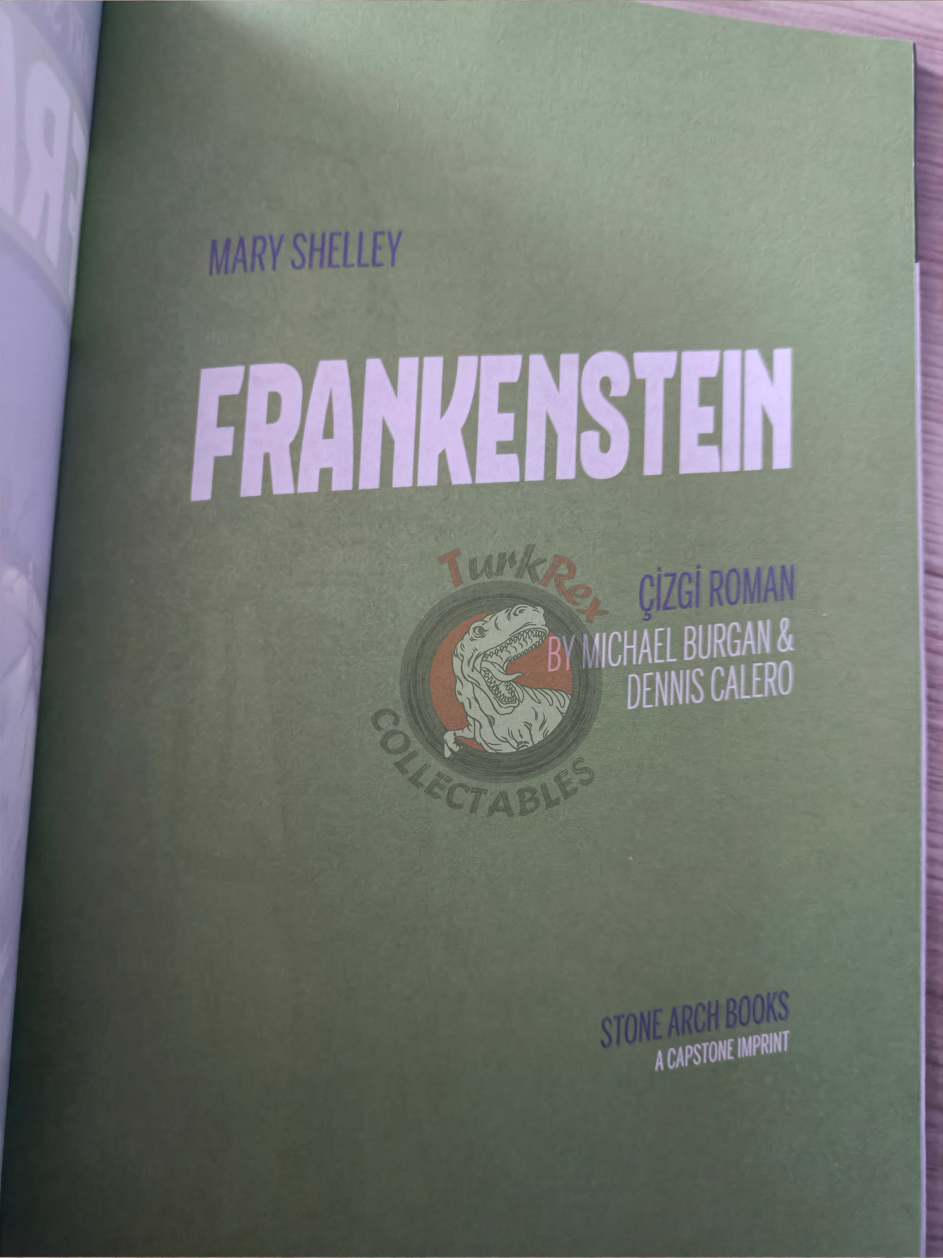 Frankenstein by Mary Shelley Turkish Comic Turkey Stone Arch Books