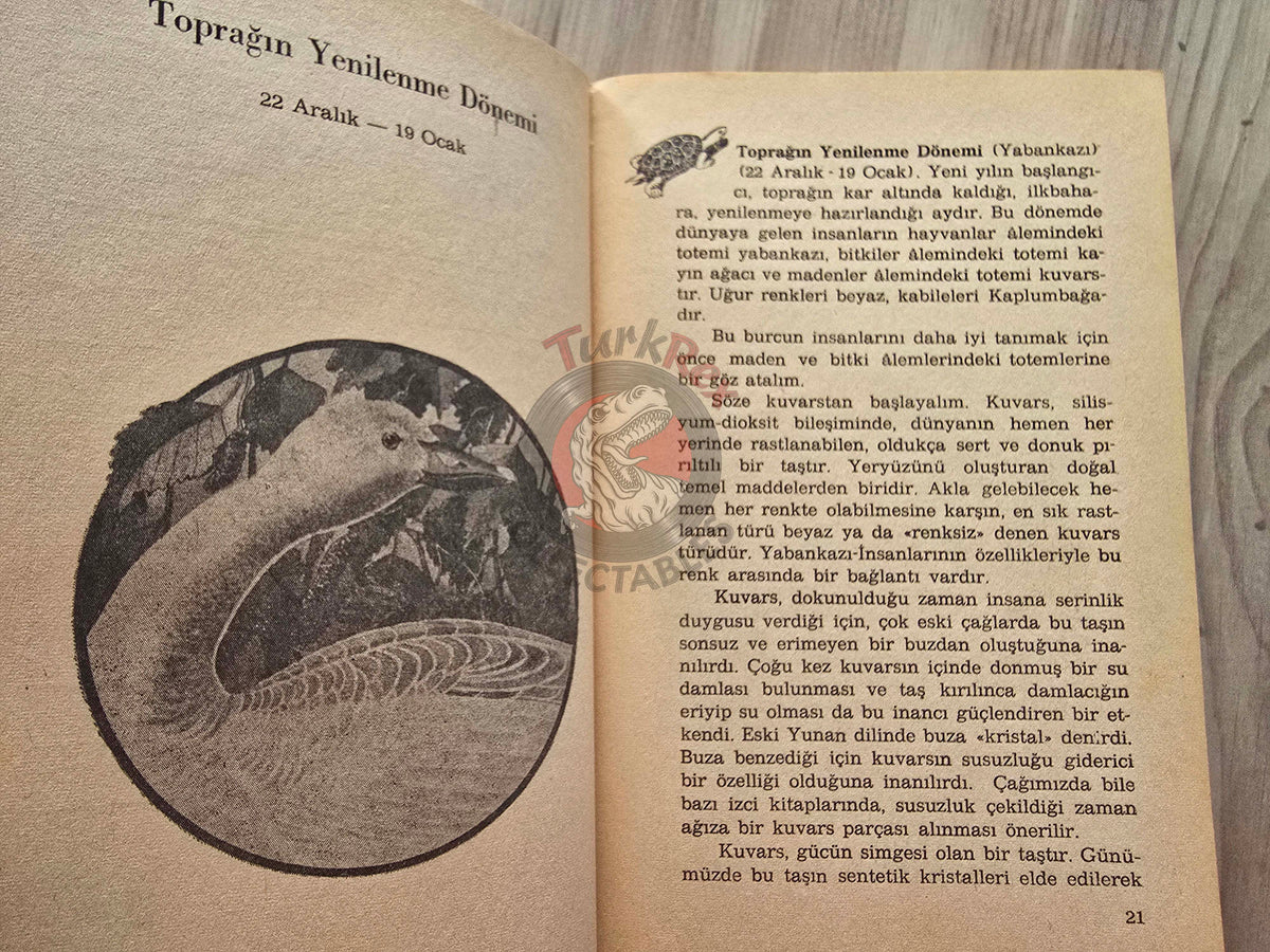 Sun Bear & Wabun – The Medicine Wheel: Earth Astrology 1984 1st Turkish Book Turkey