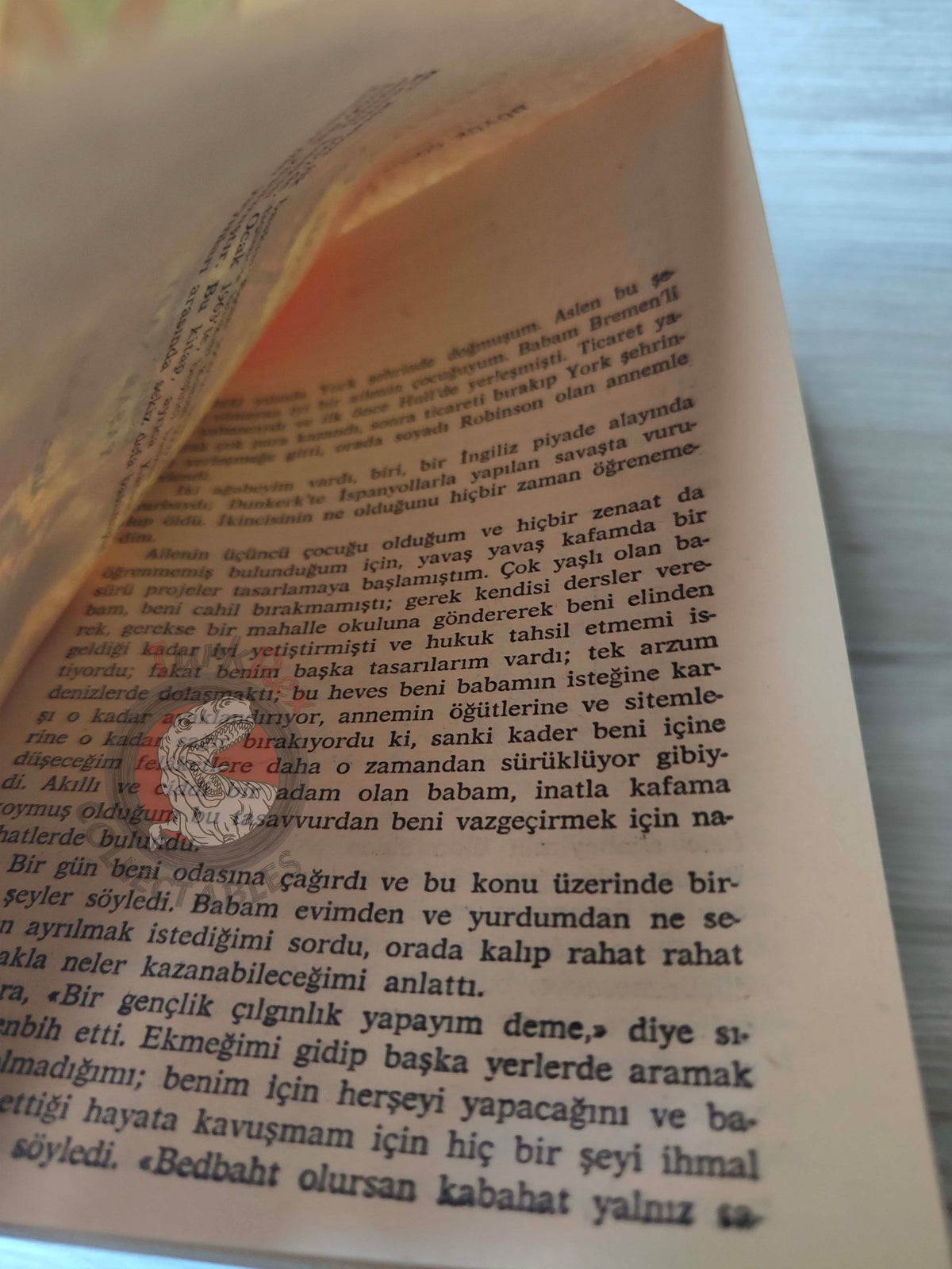 Daniel Defoe – Robinson Crusoe 1970 Turkish Book Turkey Illustrated