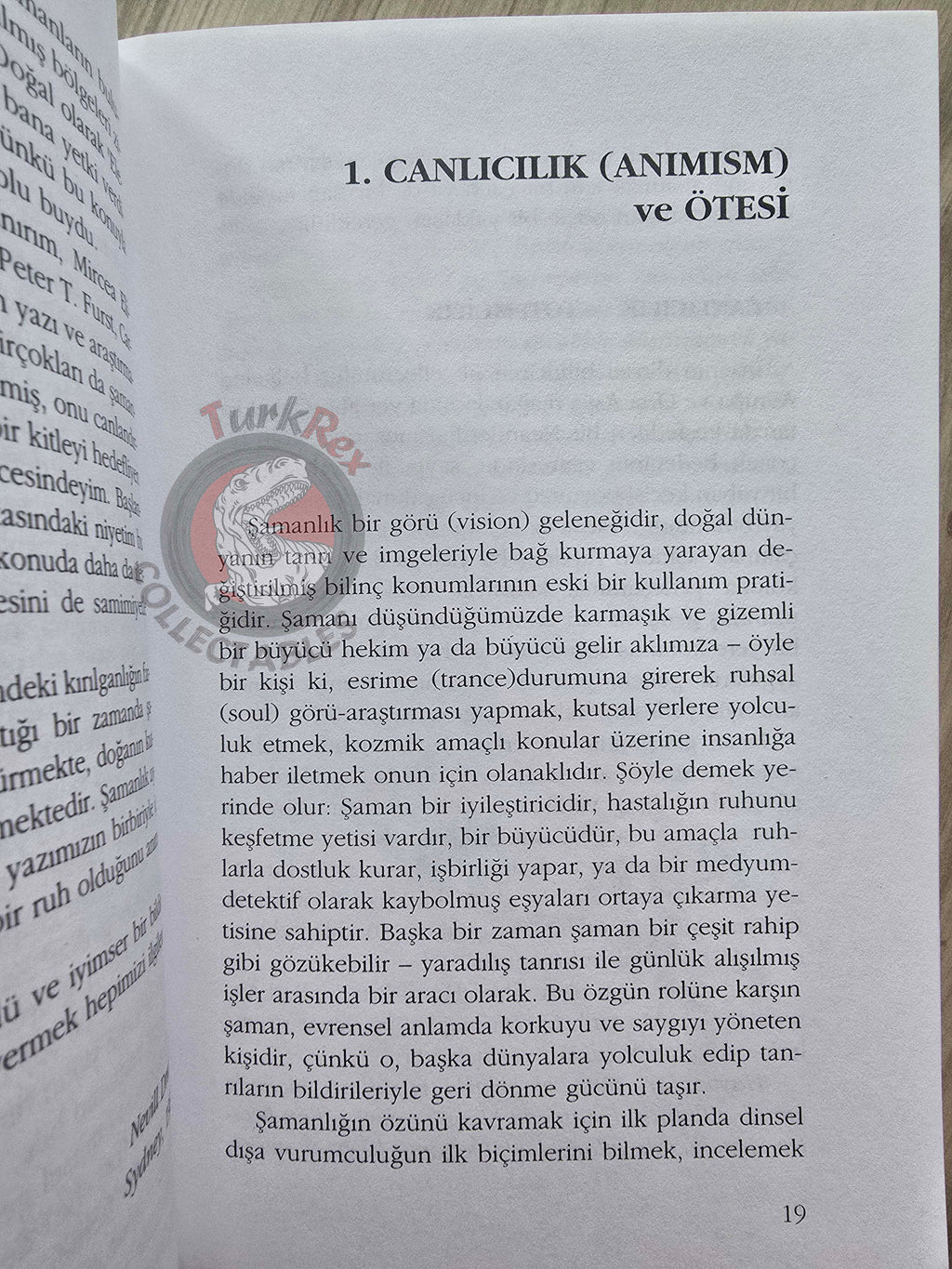 Nevill Drury – The Elements of Shamanism 1996 1st Turkish Book Turkey