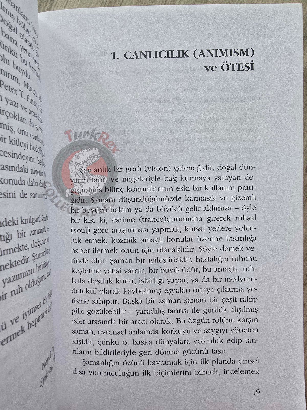 Nevill Drury – The Elements of Shamanism 1996 1st Turkish Book Turkey