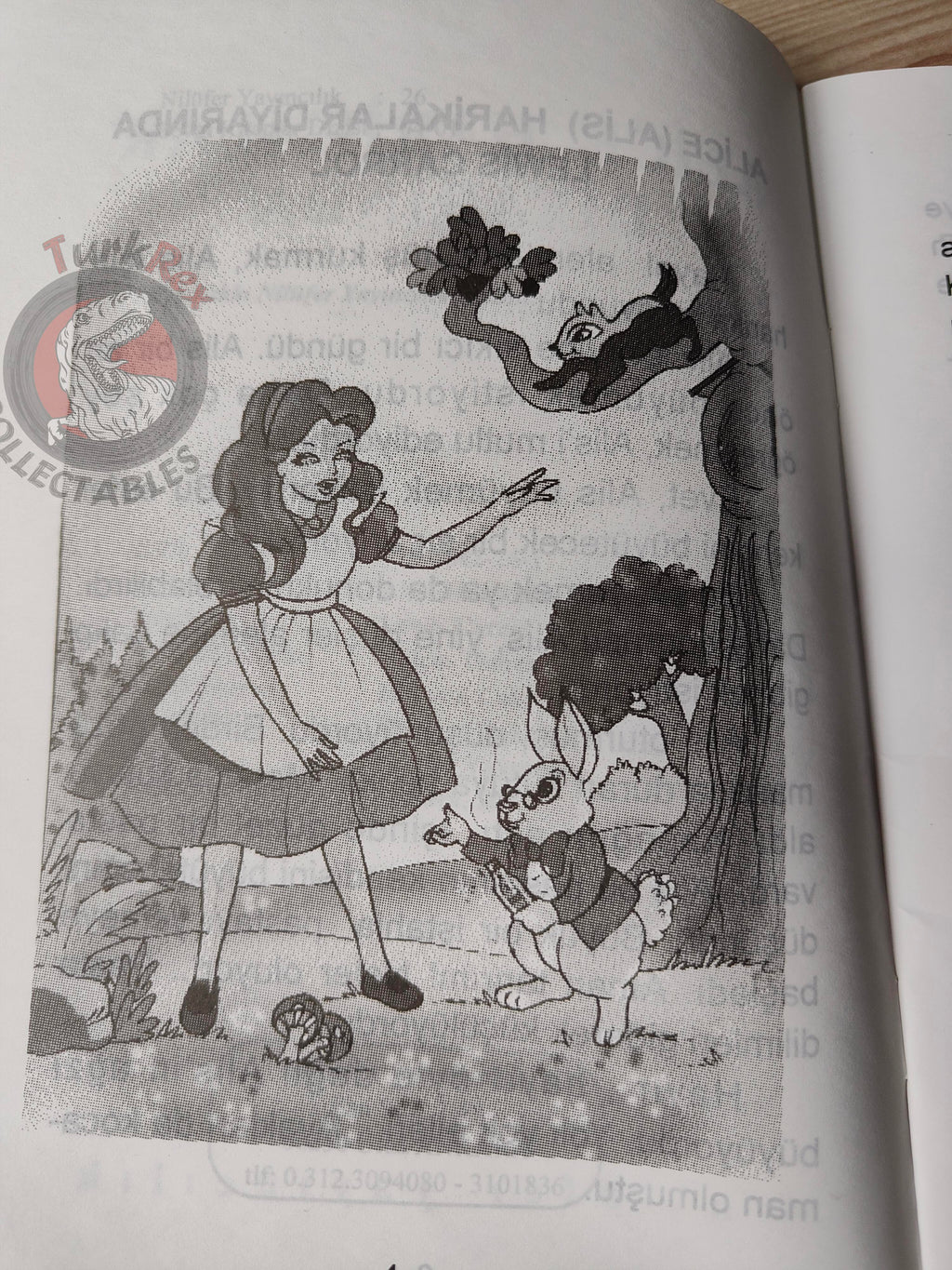 Lewis Carroll – Alice in Wonderland 2003 Turkish Book Turkey Illustrated