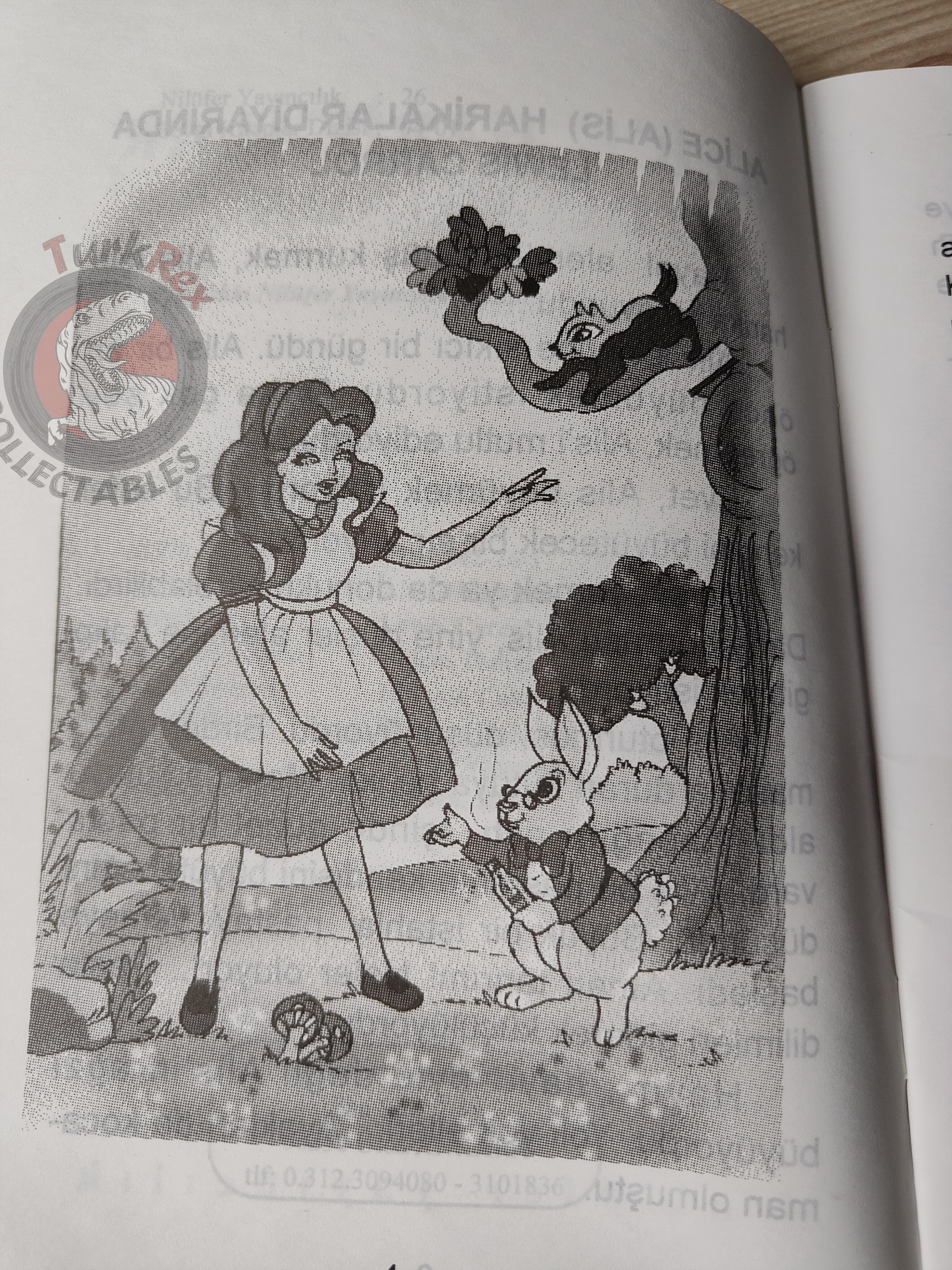 Lewis Carroll – Alice in Wonderland 2003 Turkish Book Turkey Illustrated
