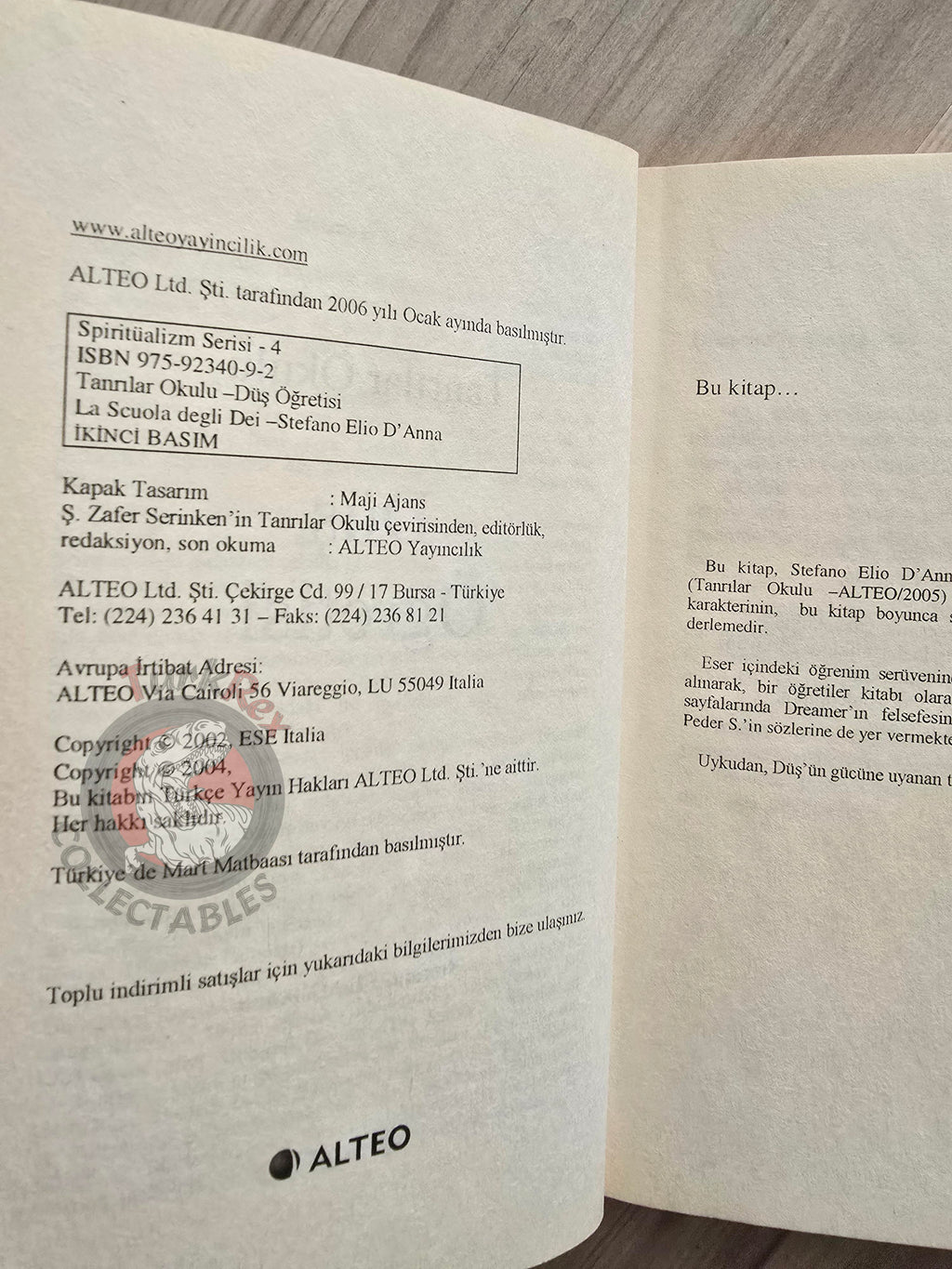 Stefano Elio D'Anna – The School for Gods  2006 Turkish Book Turkey