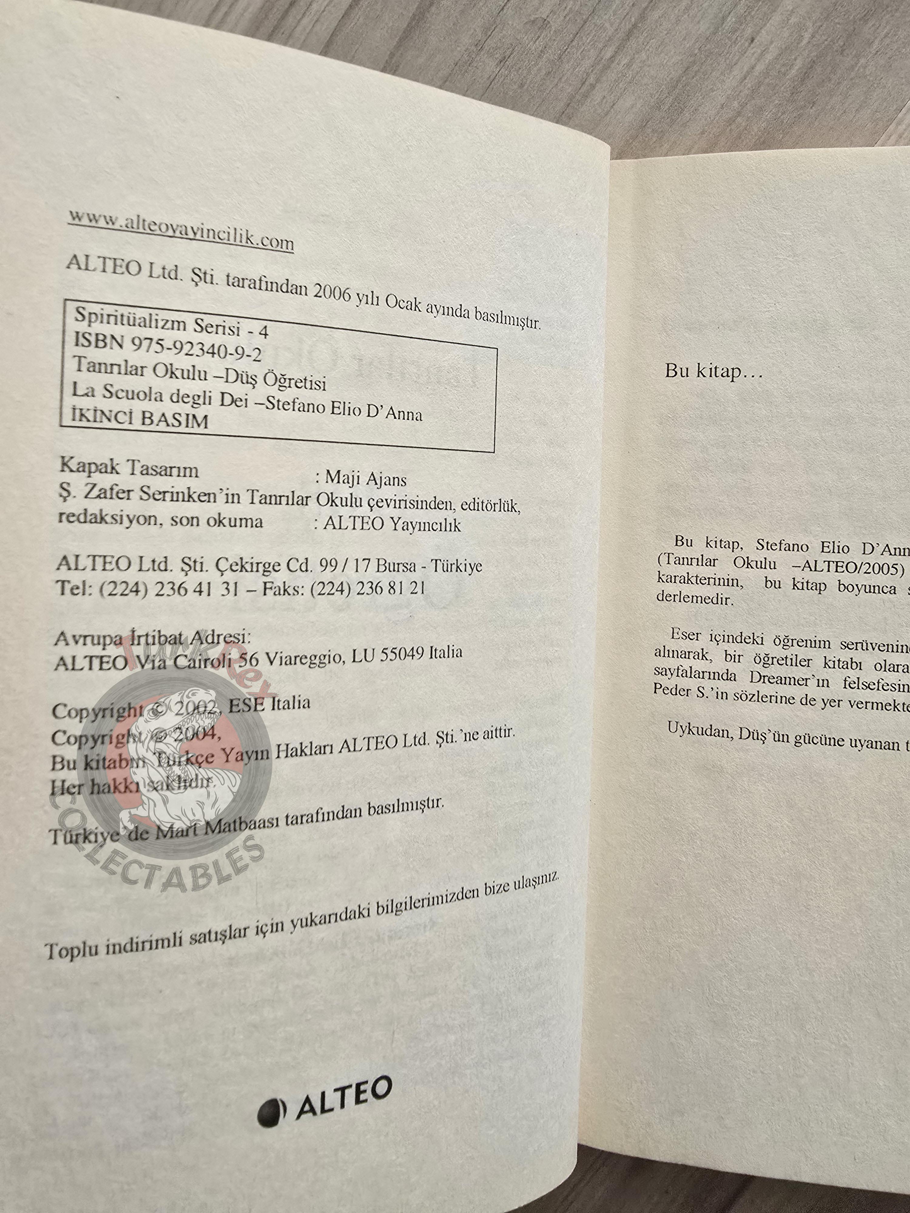 Stefano Elio D'Anna – The School for Gods  2006 Turkish Book Turkey