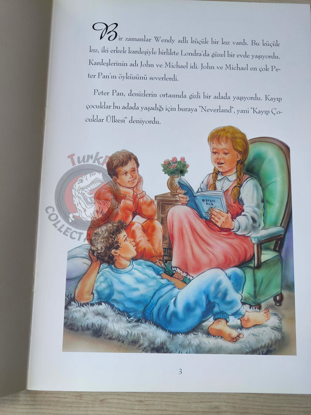 J. M. Barrie – Peter Pan 2007 Turkish Book Turkey Illustrated