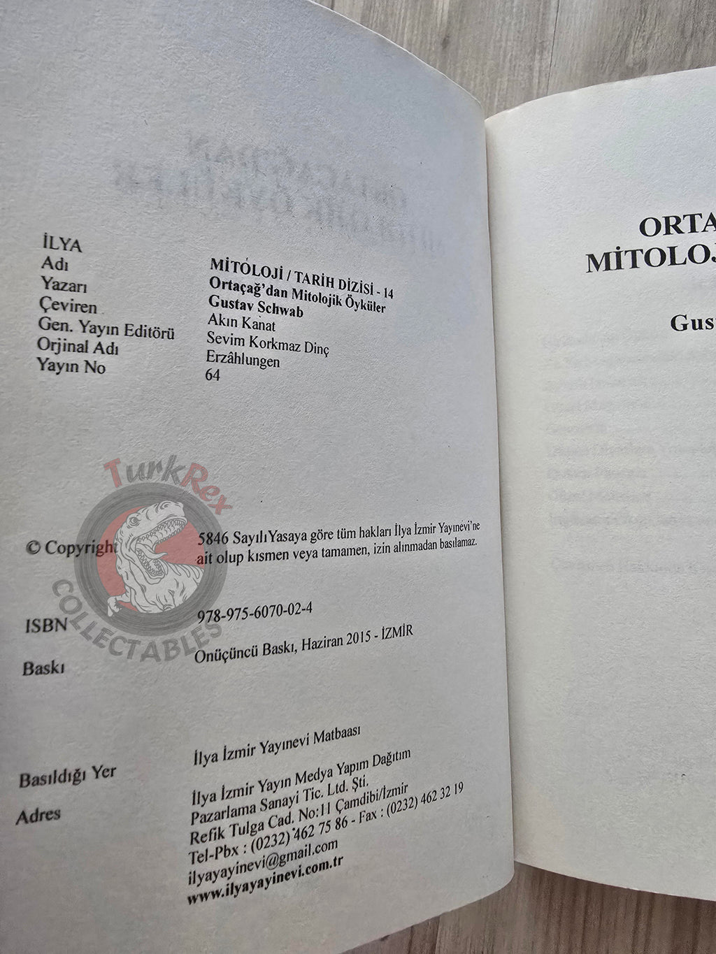 Gustav Schwab – Legends of the Middle Ages 2015 Turkish Book Turkey