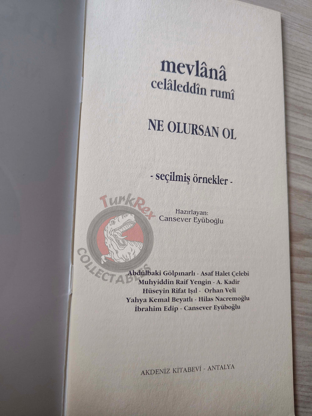 Mevlana Rumi – Selected Poems Turkish Book Turkey