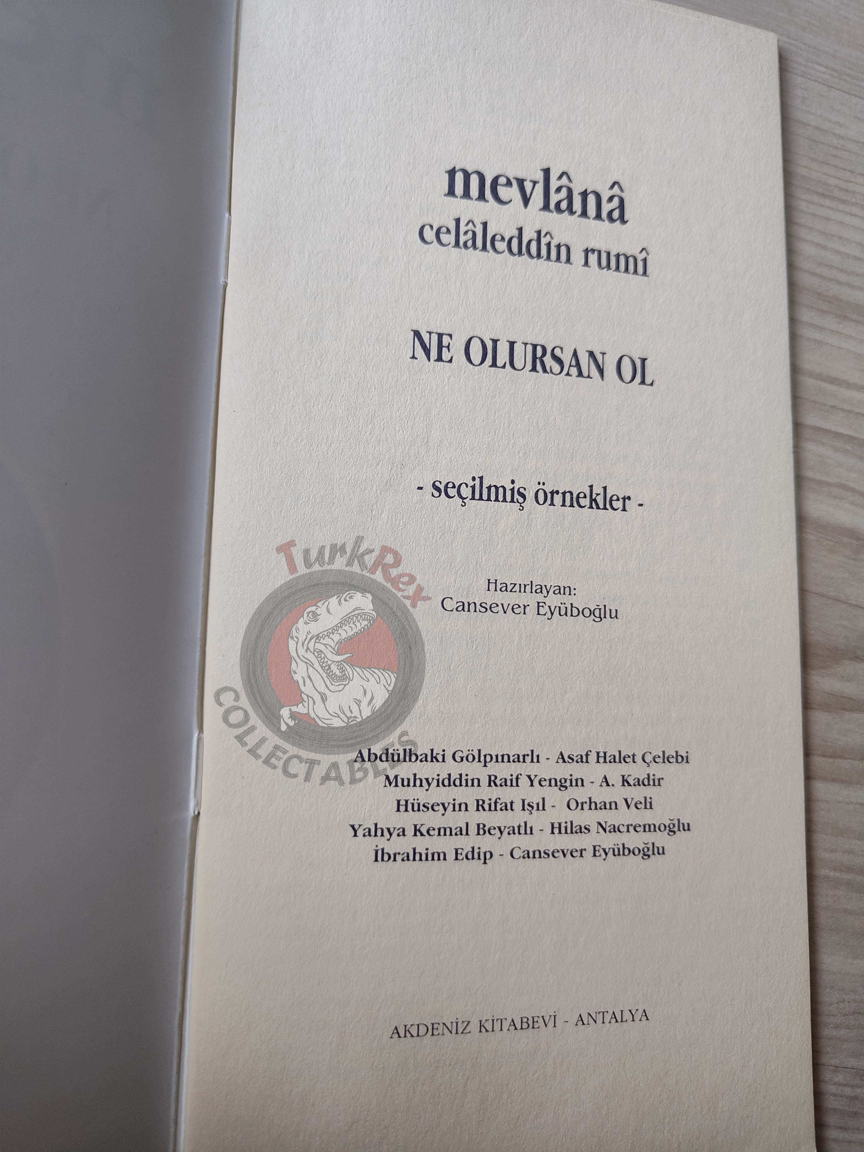 Mevlana Rumi – Selected Poems Turkish Book Turkey