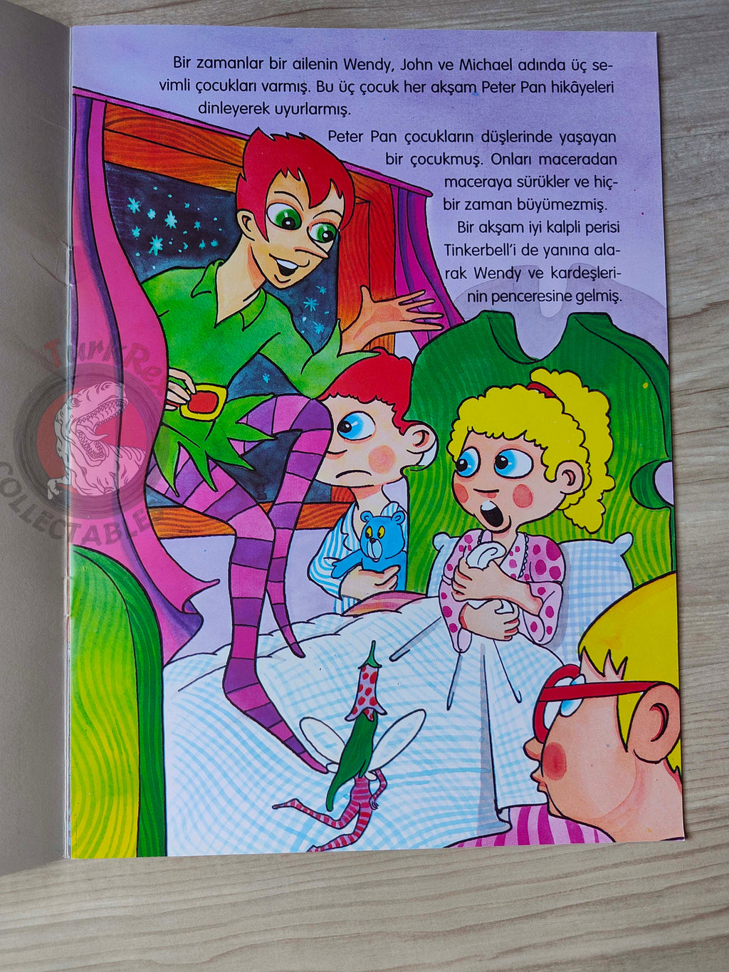 J. M. Barrie – Peter Pan 2009 Turkish Book Turkey Illustrated 3