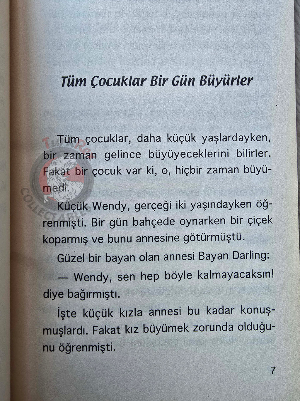 J. M. Barrie – Peter Pan 2005 Turkish Book Turkey 2