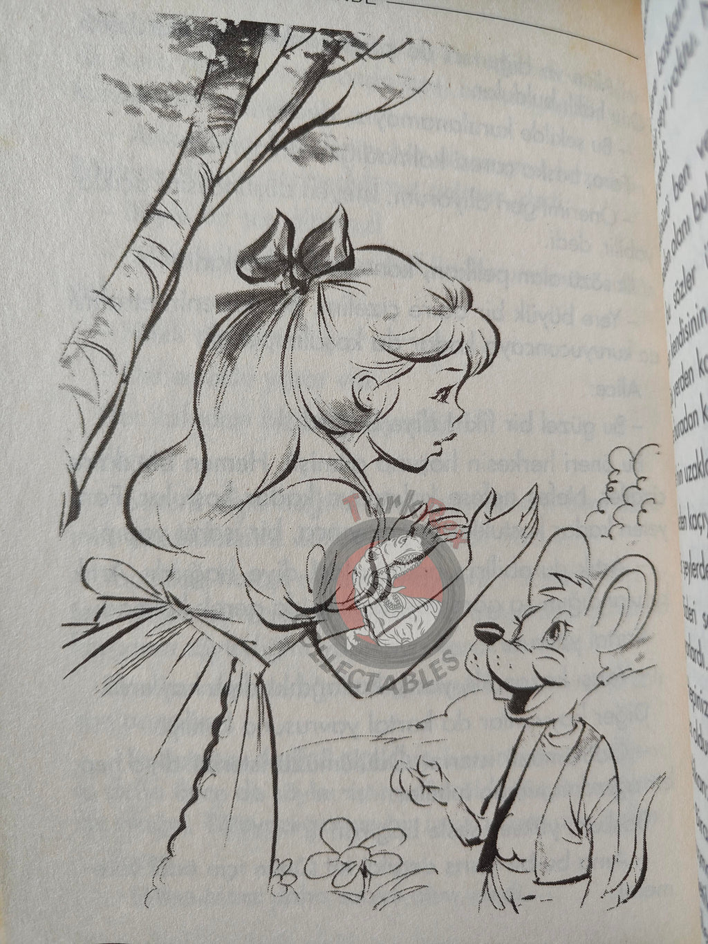 Lewis Carroll – Alice in Wonderland 2005 Turkish Book Turkey Illustrated
