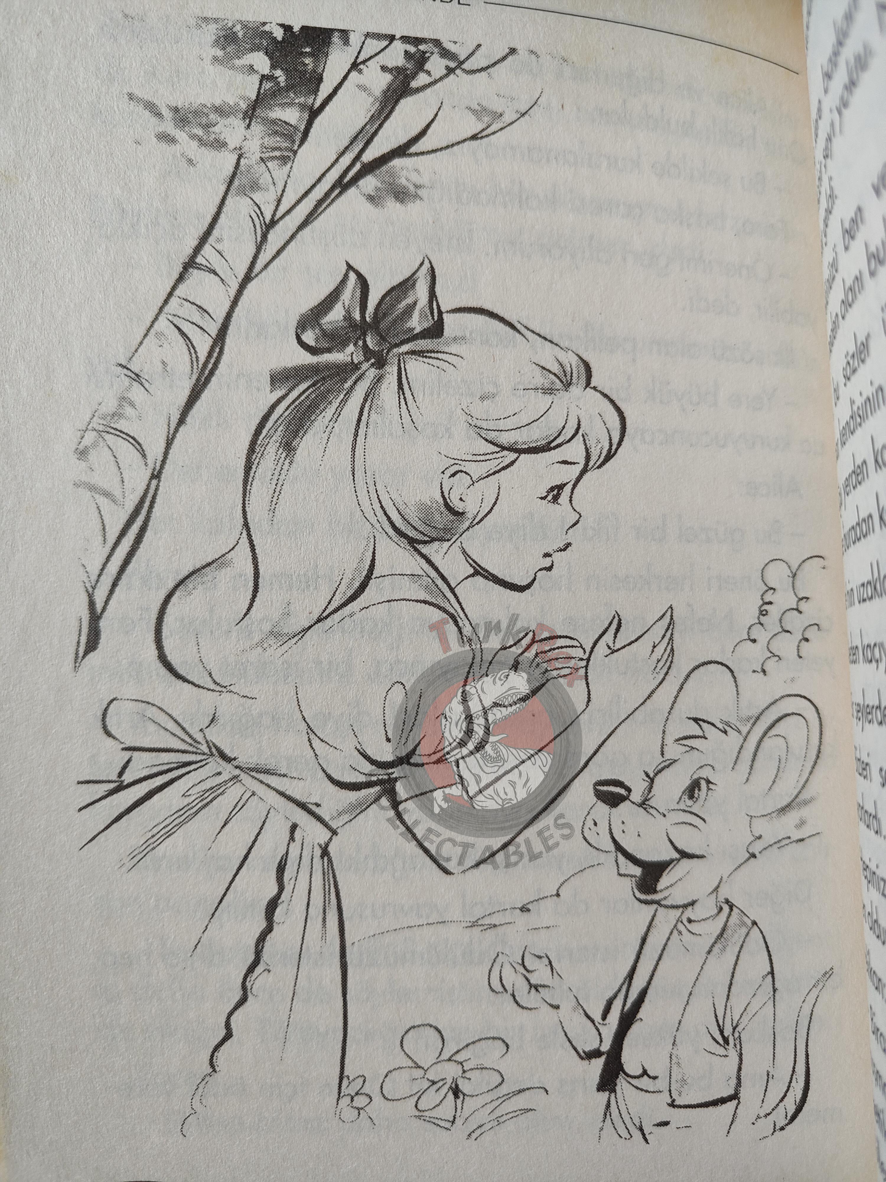 Lewis Carroll – Alice in Wonderland 2005 Turkish Book Turkey Illustrated