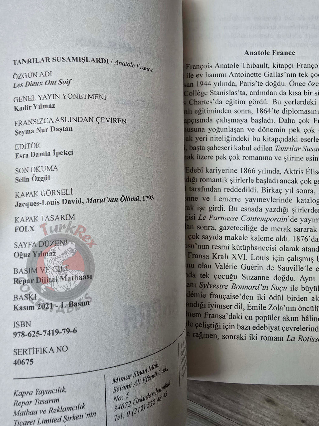 Anatole France – The Gods Are Athirst  2021 Turkish Book Turkey