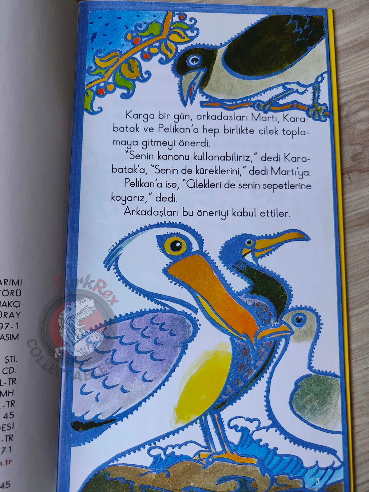Native American Legends: Crow Goes to Pick Strawberries  Turkish Book Turkey Illustrated