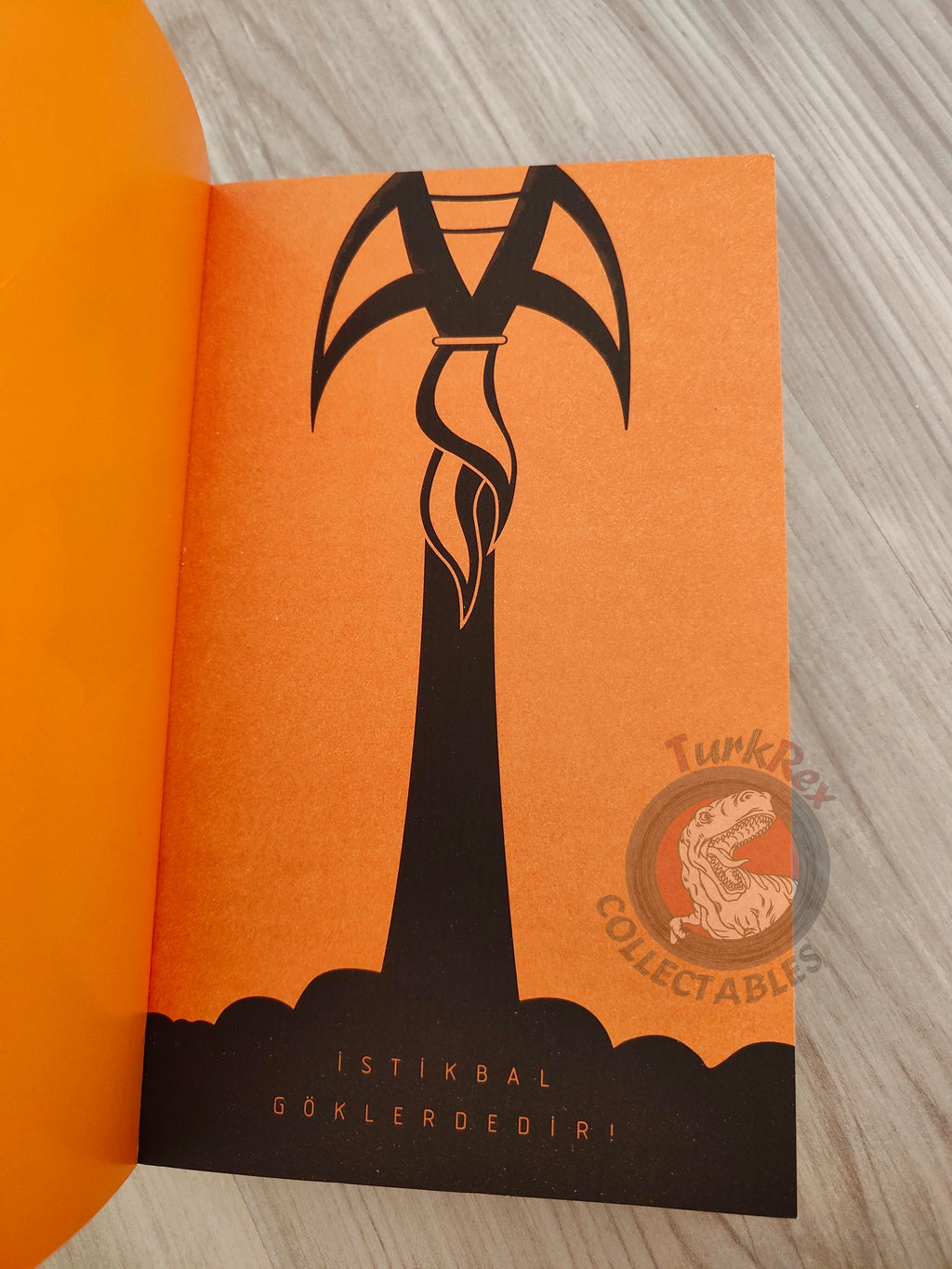 Roger Zelazny  – Lord of Light 2017 Turkish Book Turkey