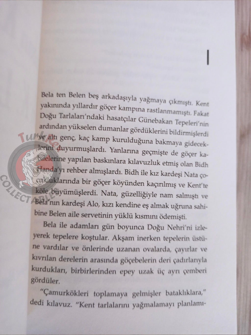 Ursula K. Le Guin – The Wild Girls 2016 Turkish Book Turkey
