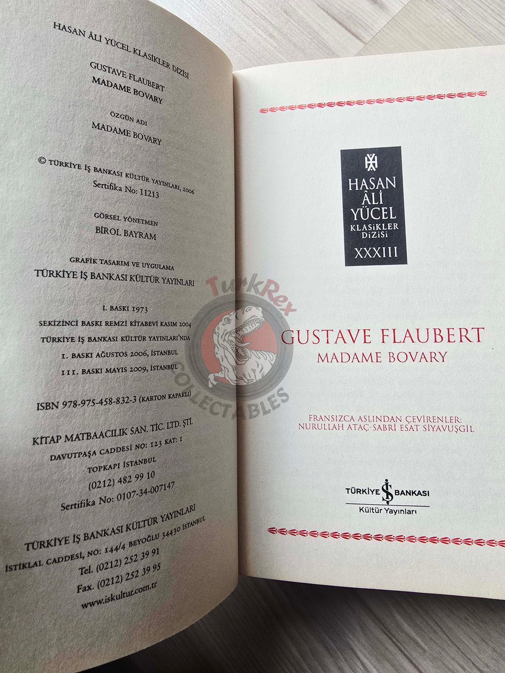Gustave Flaubert – Madame Bovary 2009 Turkish Book Turkey