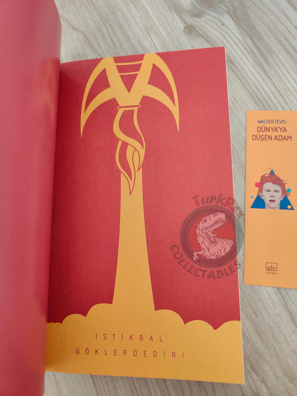 Walter Tevis – The Man Who Fell to Earth 2020 Turkish Book Turkey
