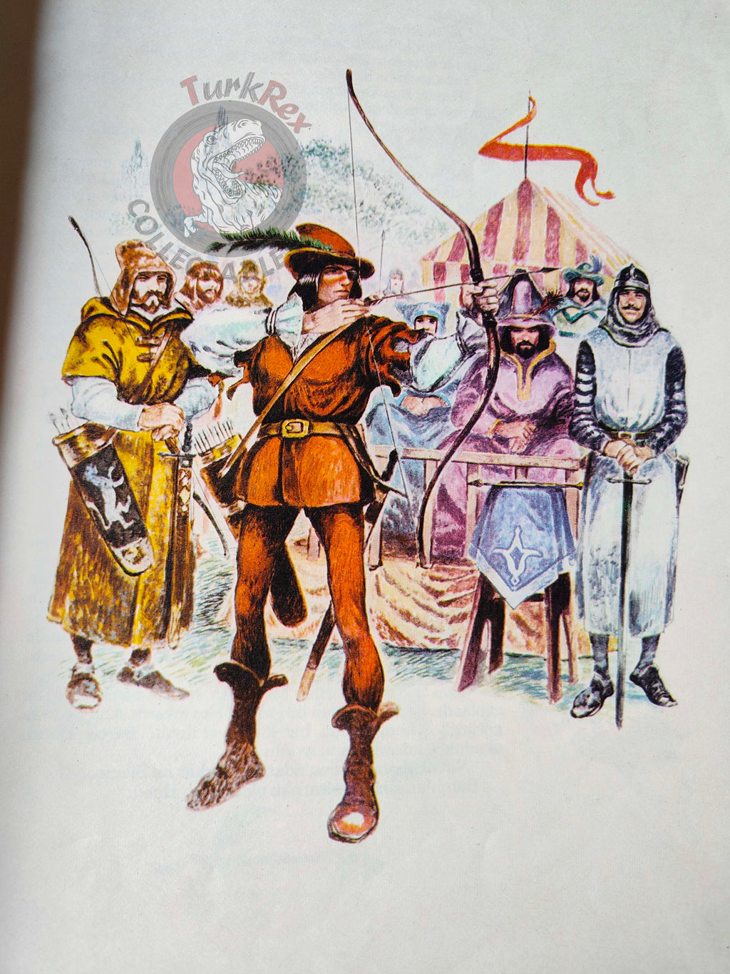 Robin Hood – Howard Pyle 1983 Turkish Book Turkey Illustrated
