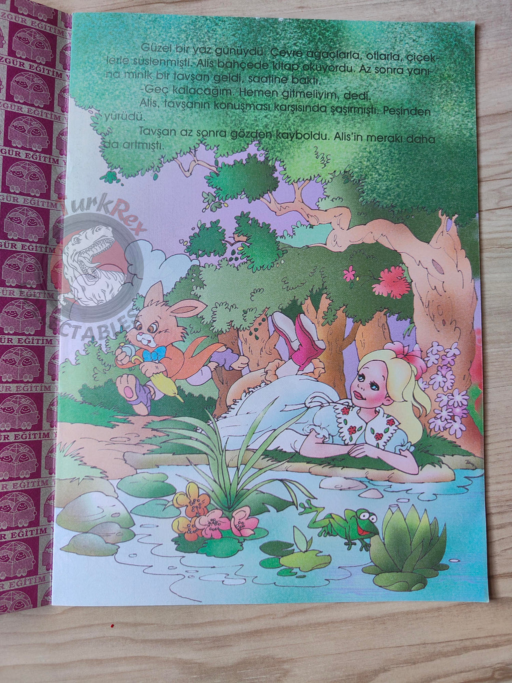 Lewis Carroll – Alice in Wonderland 2000s Turkish Book Turkey Illustrated 1
