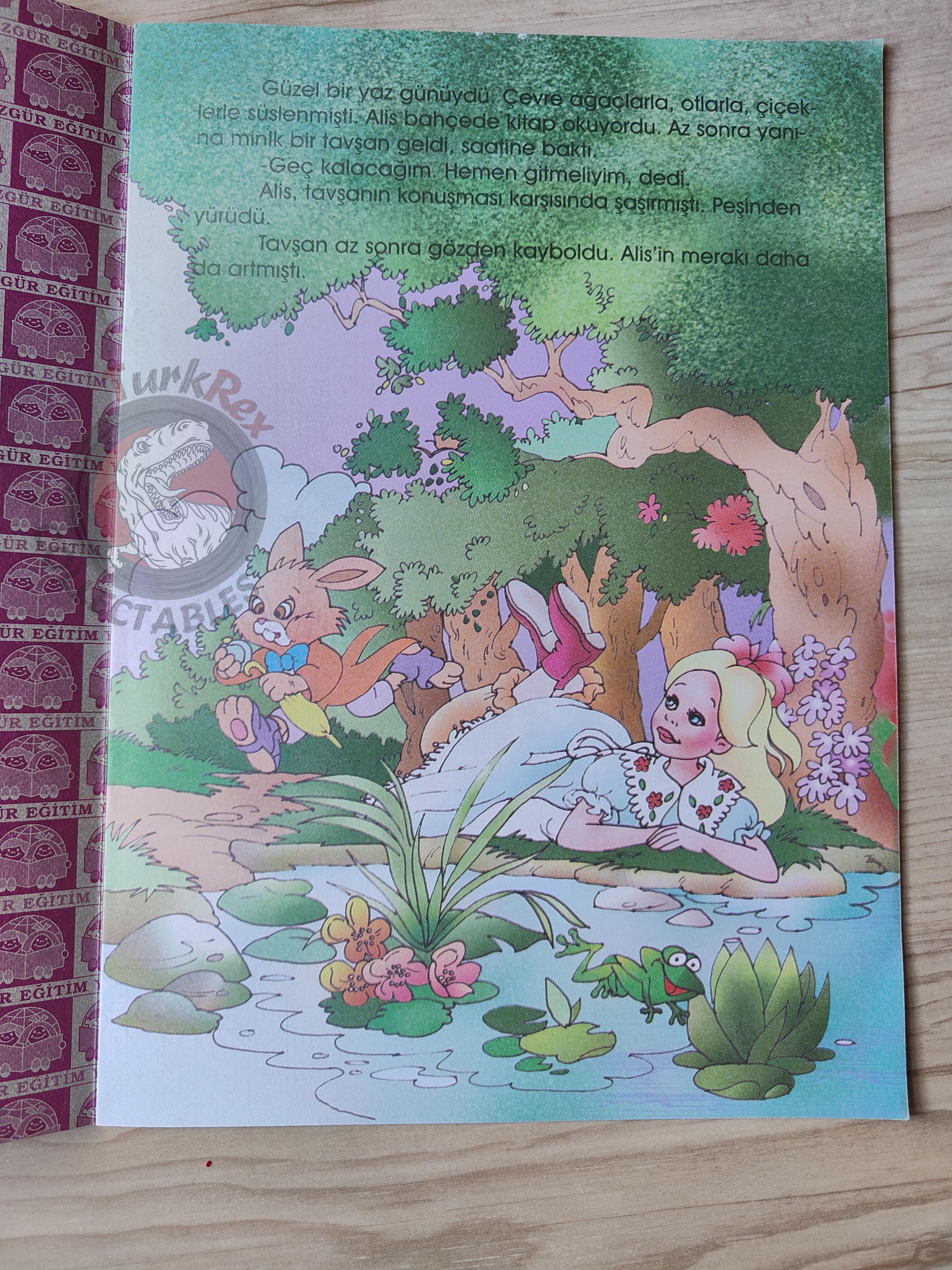 Lewis Carroll – Alice in Wonderland 2000s Turkish Book Turkey Illustrated 1