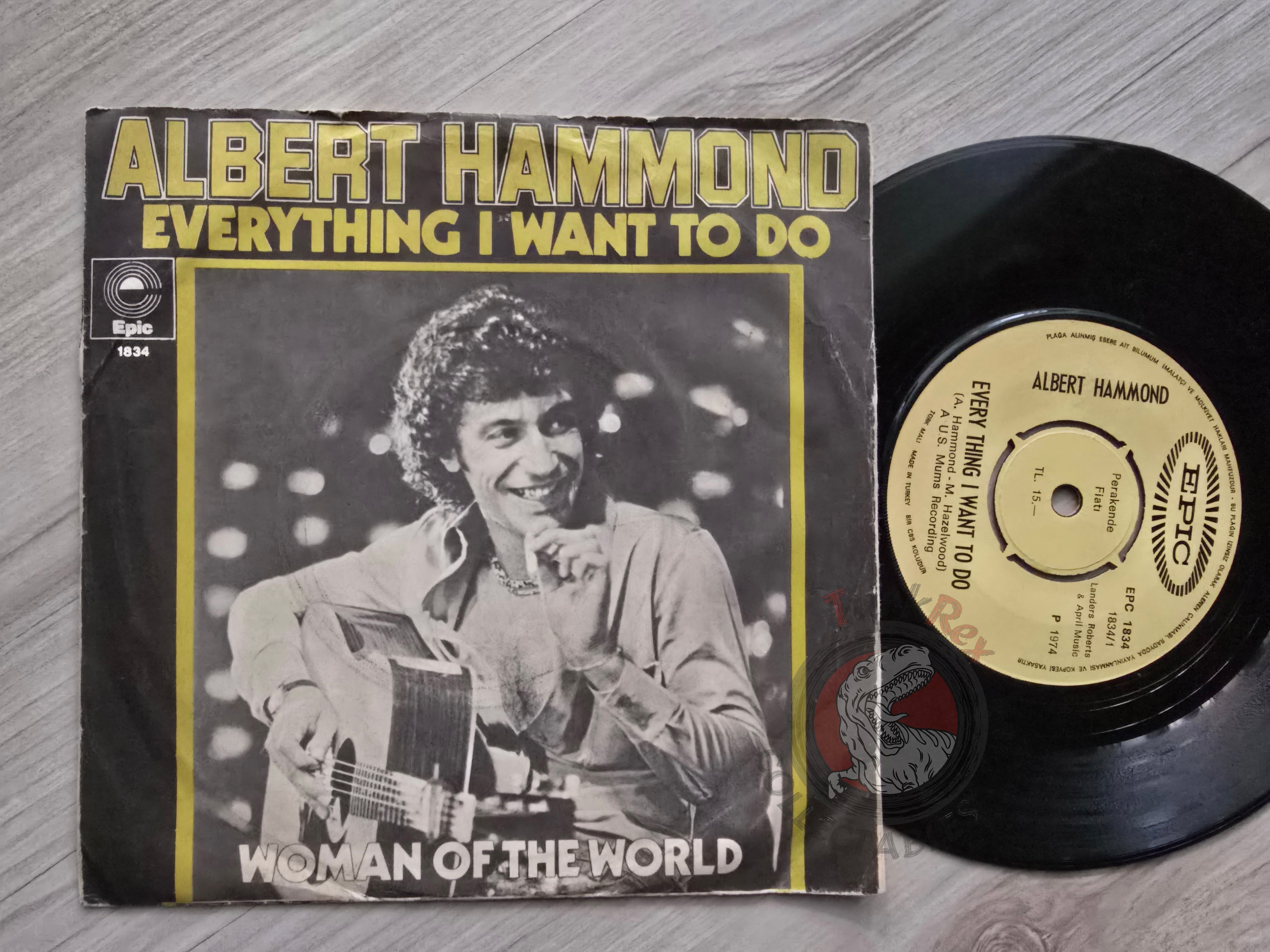 Albert Hammond – Everything I Want To Do 7" Turkish Pressing Vinyl Turkey Edition