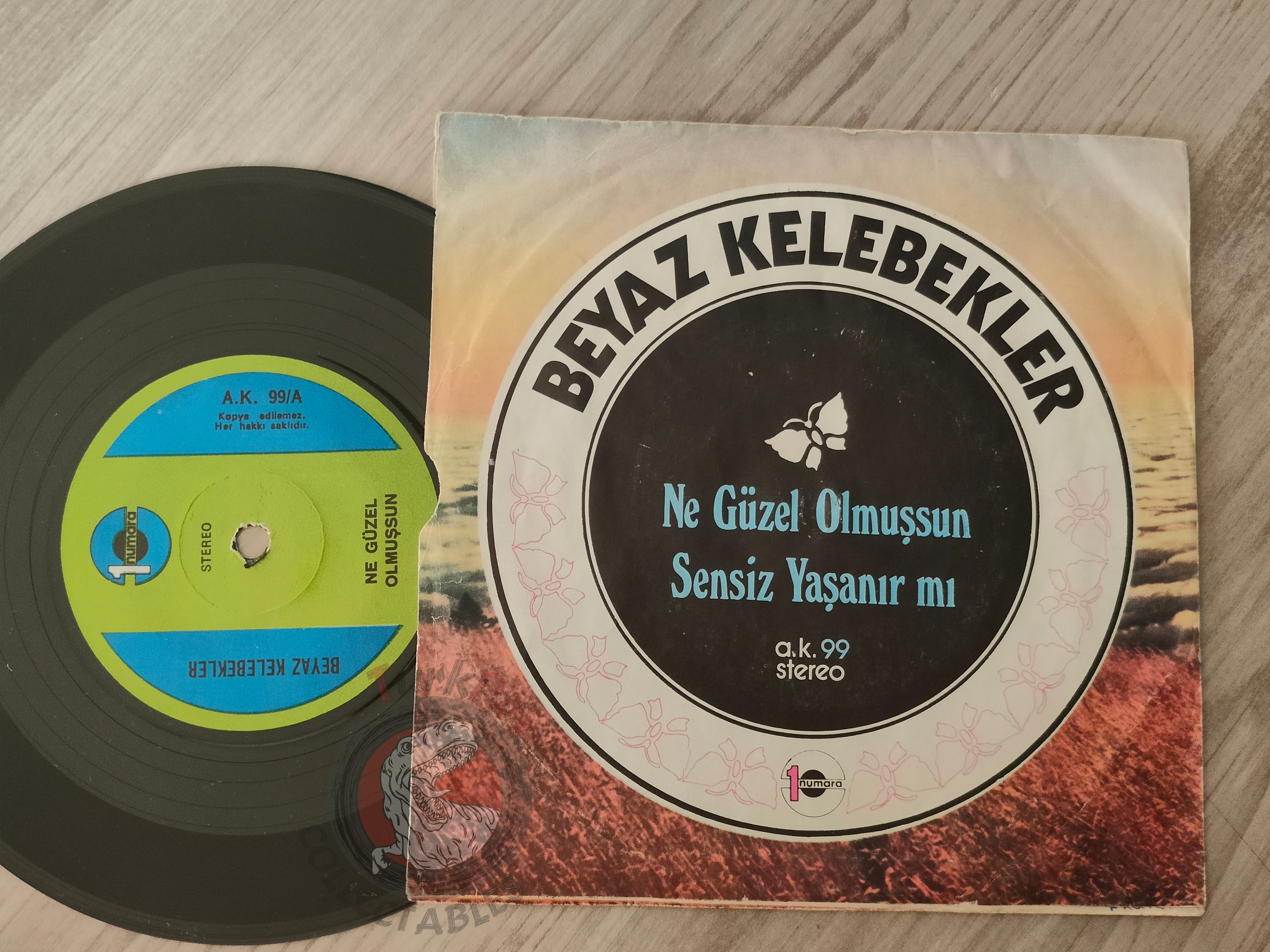 Beyaz Kelebekler – Ne Güzel Olmuşsun 7" Turkish Pressing Vinyl Turkey Edition