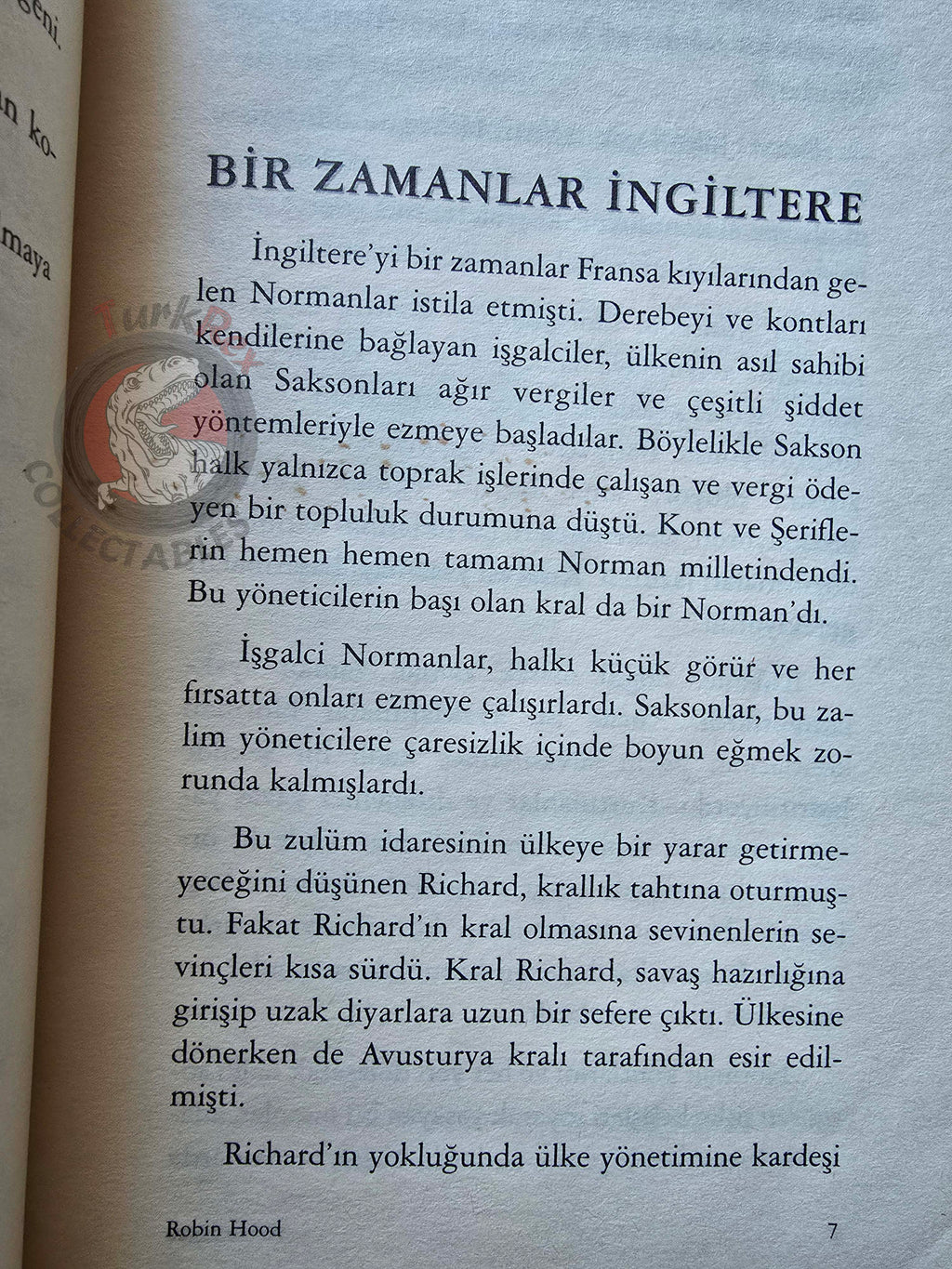 Robin Hood – Howard Pyle 2005 Turkish Book Turkey
